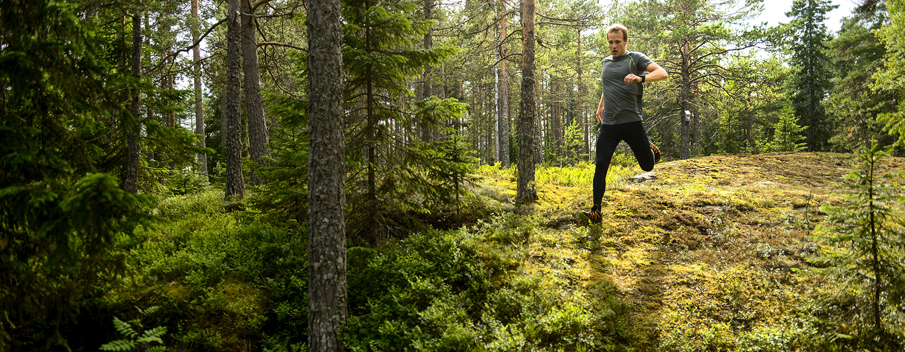 Trailrunning i höga kusten