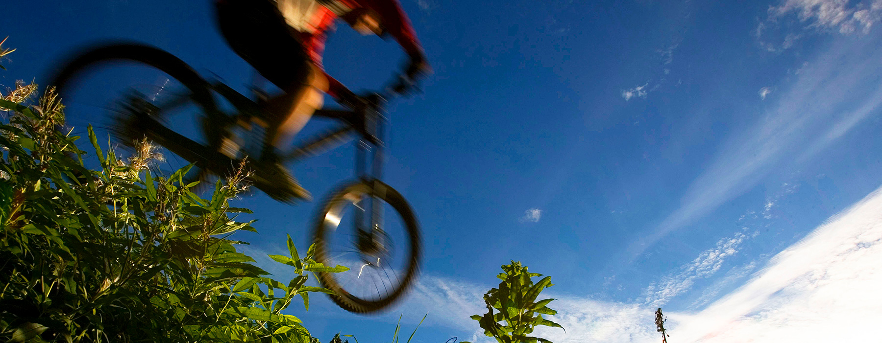 Cykling i höggräs