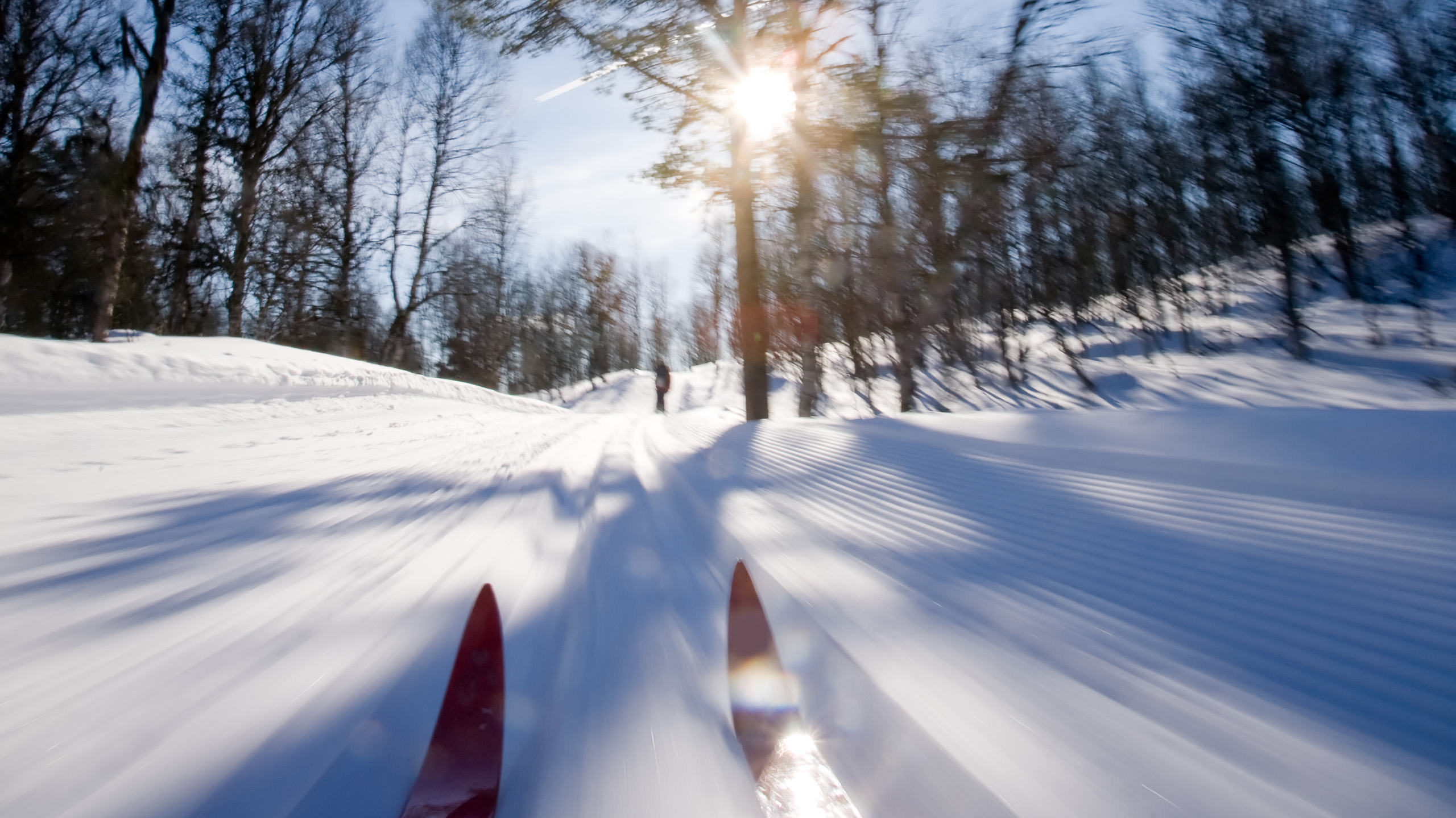 skidor vårsol