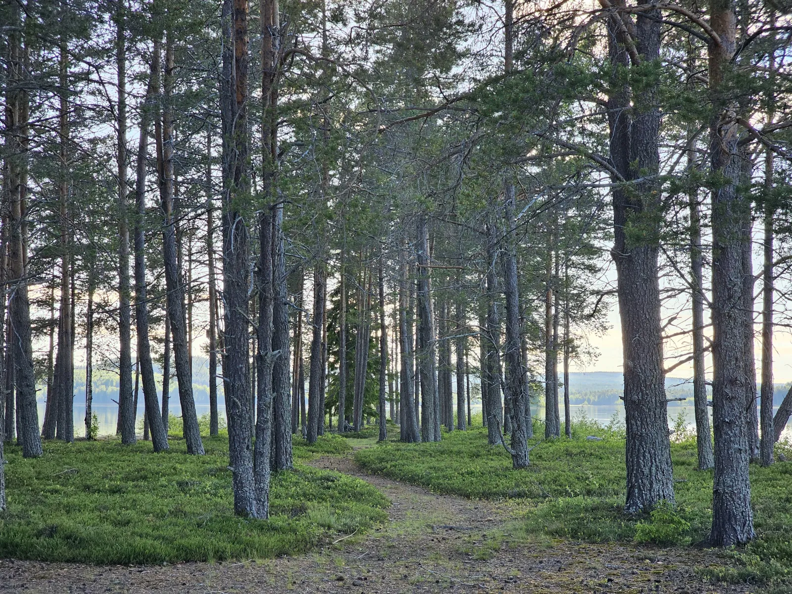 Långnäset