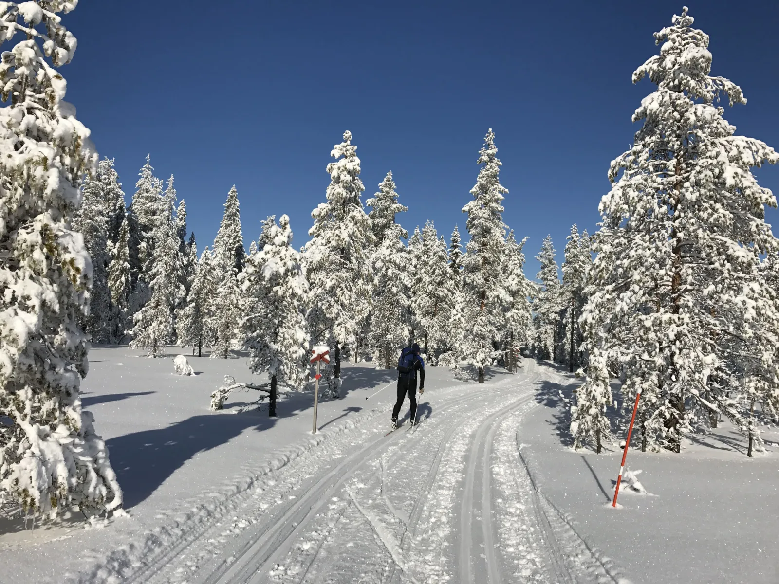 Rutberget