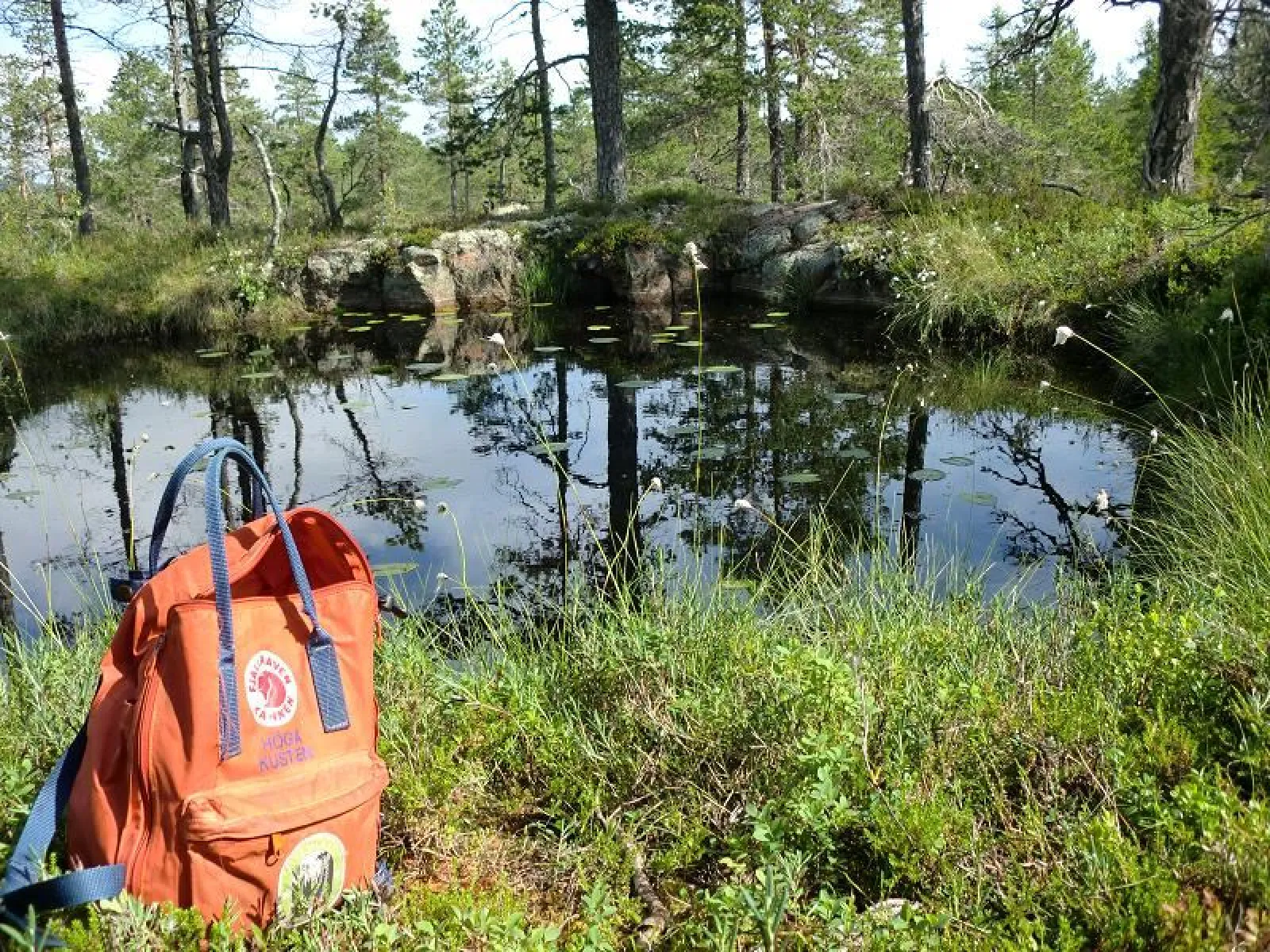 Naturen ligger nära inpå Skuleskogens Pensionat och sommarcafé