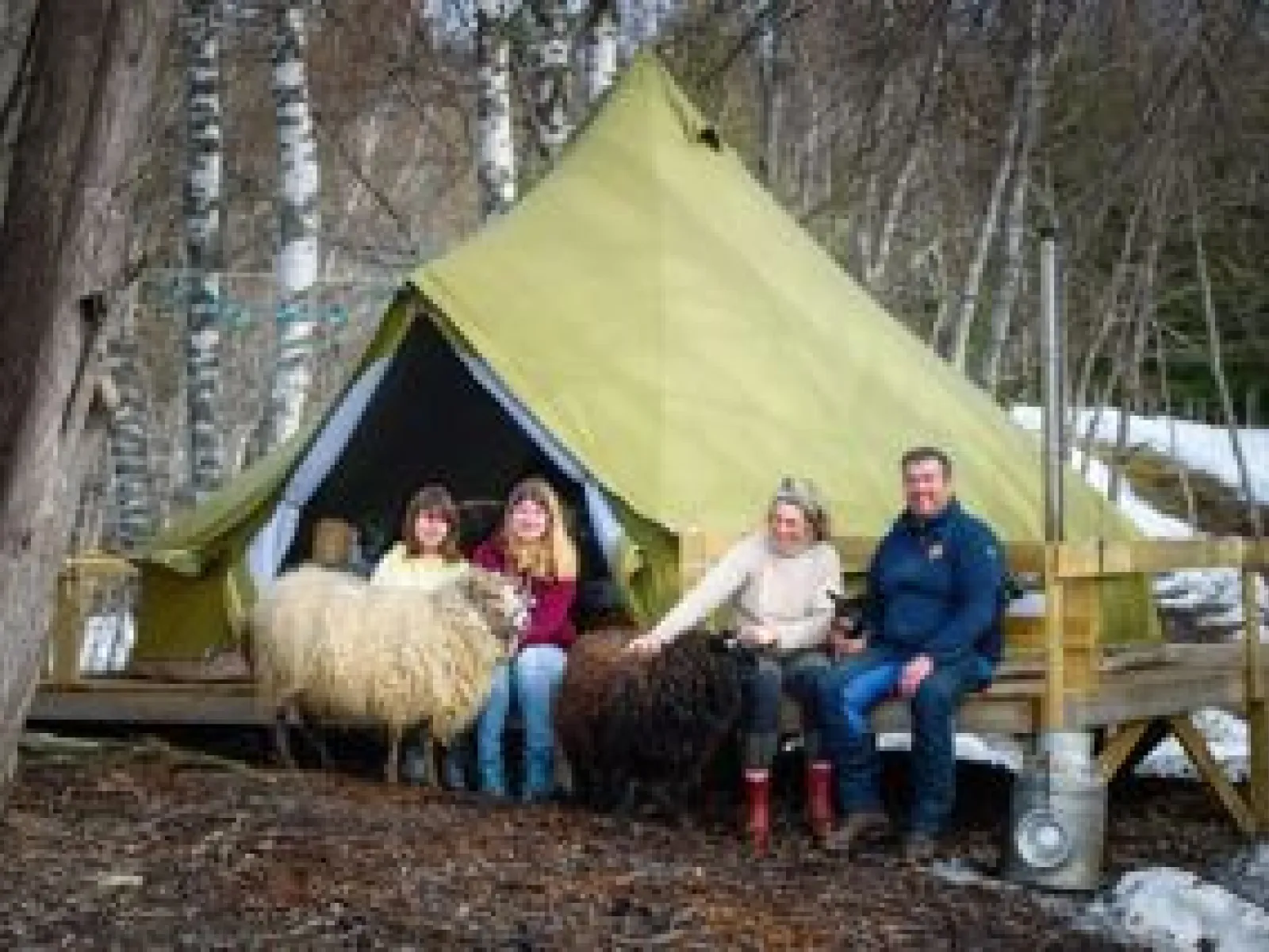 Glamping Höga Kusten (copy)