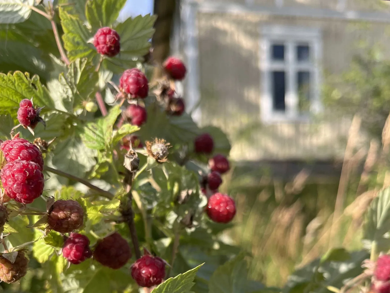 Näs Gård - Lillstugan