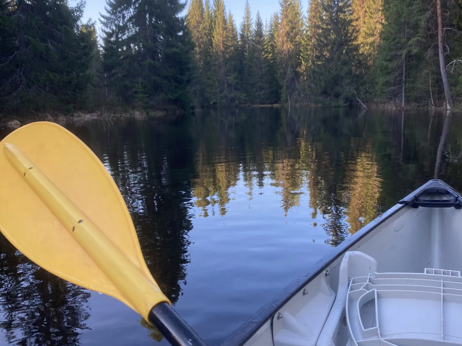 Canoeing in Junsele