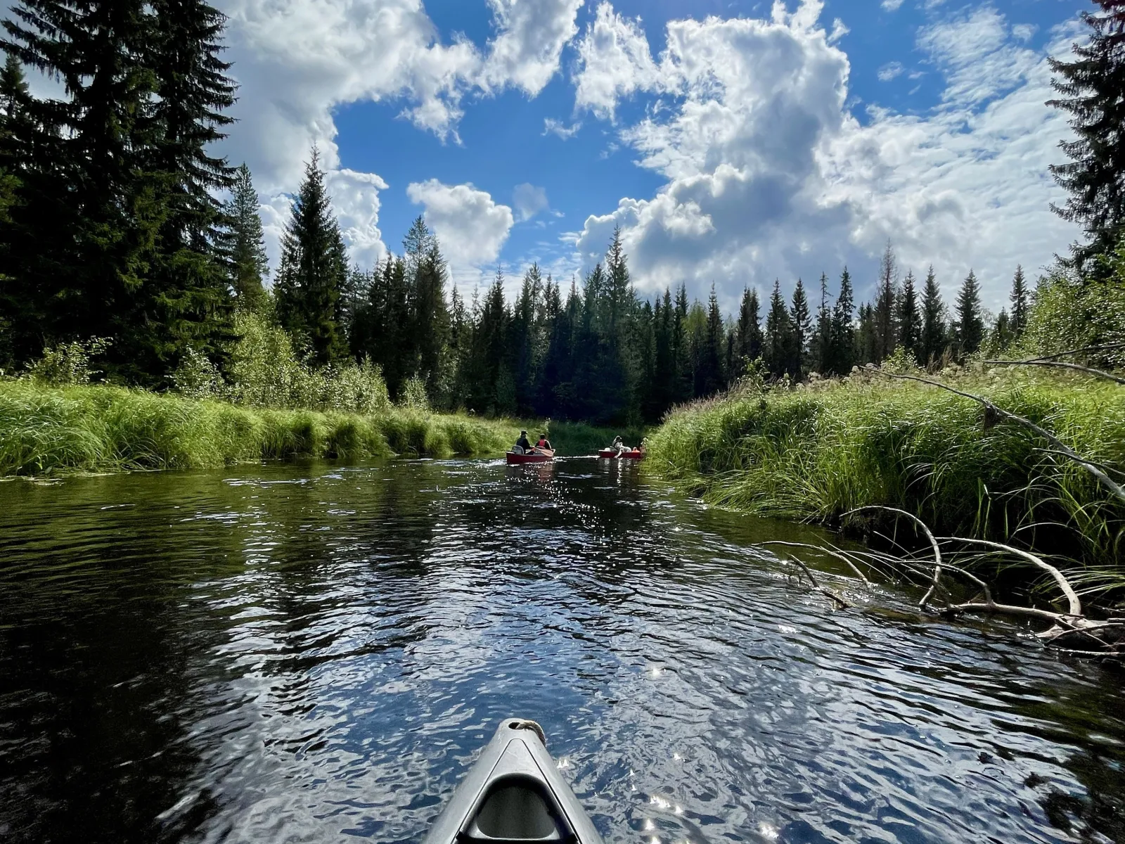 Canoeing in Junsele