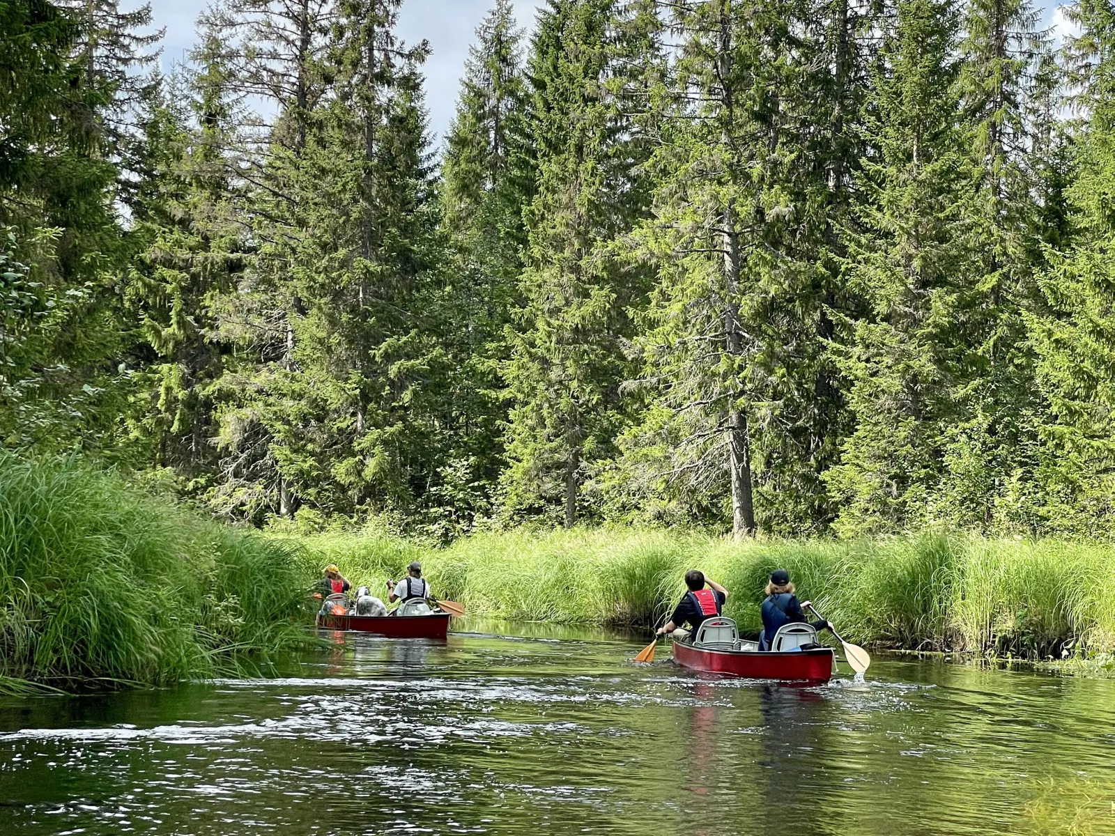 Canoeing in Junsele