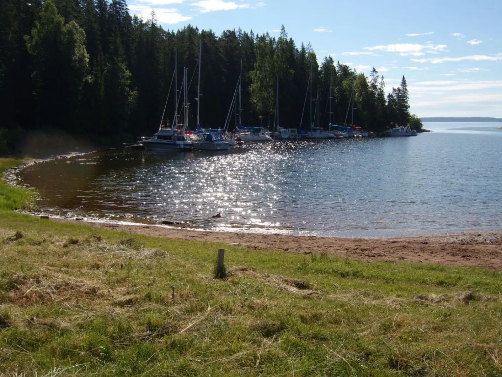 Baggviken