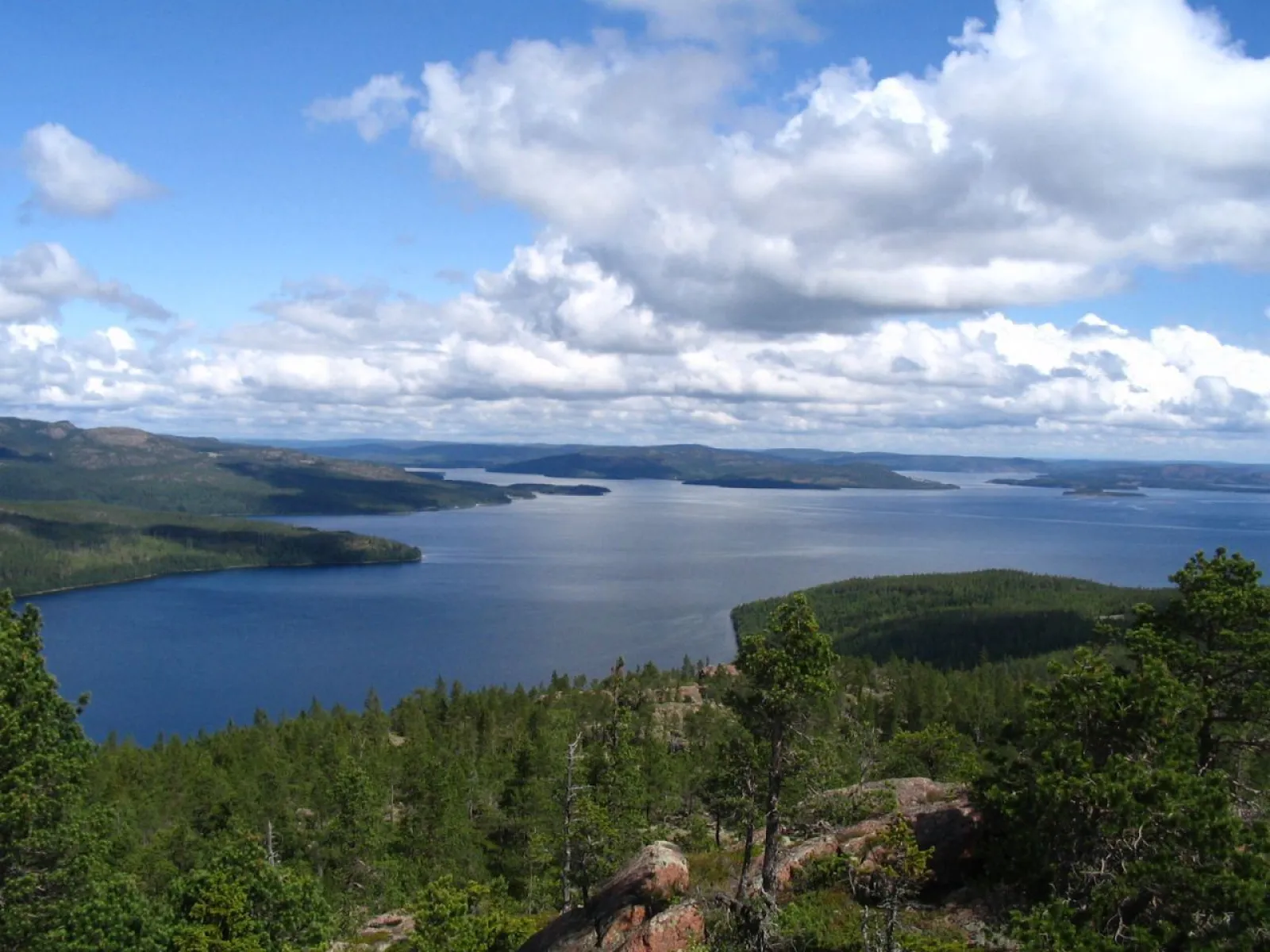 Baggviken