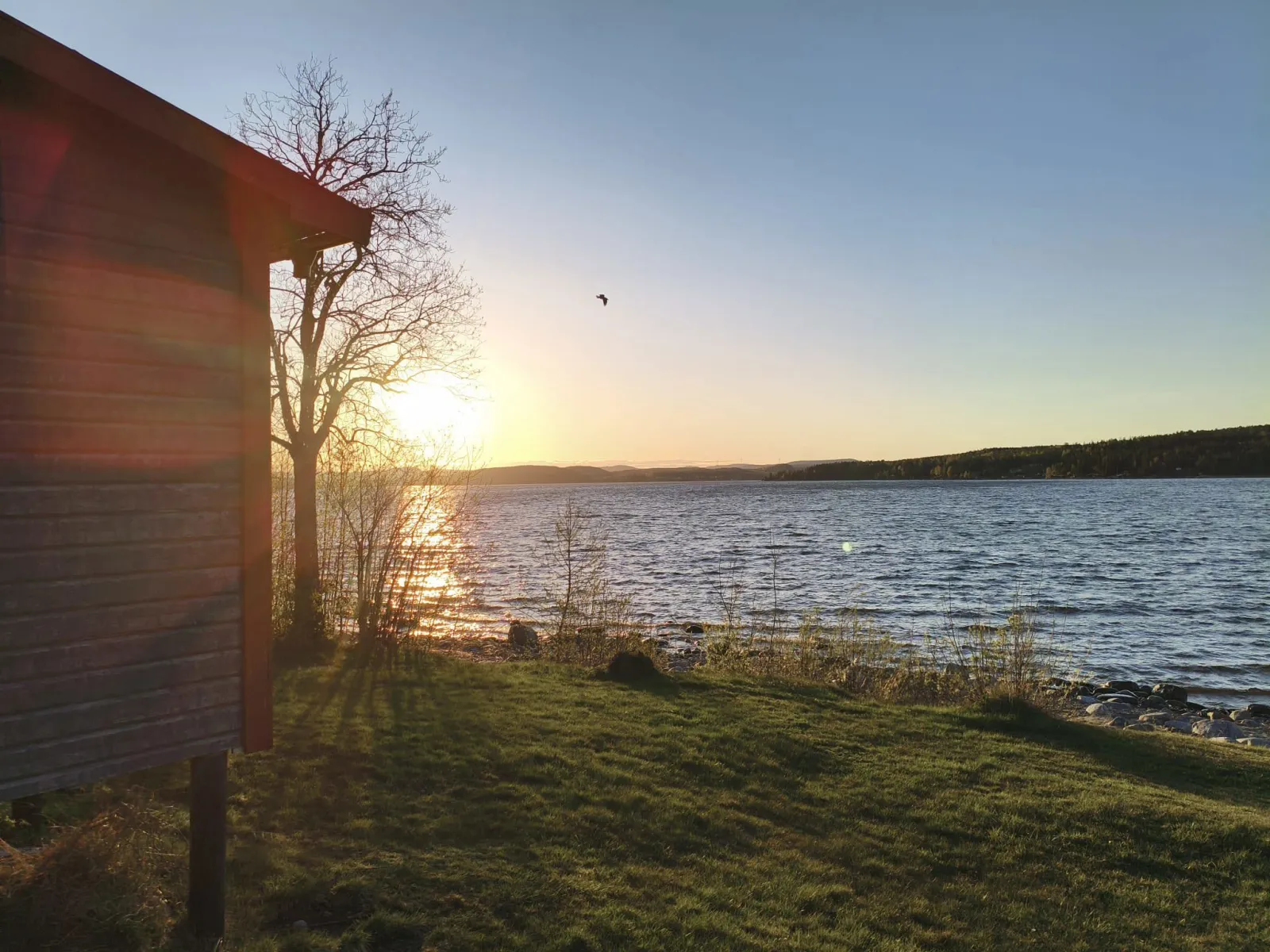 Sälstens camping