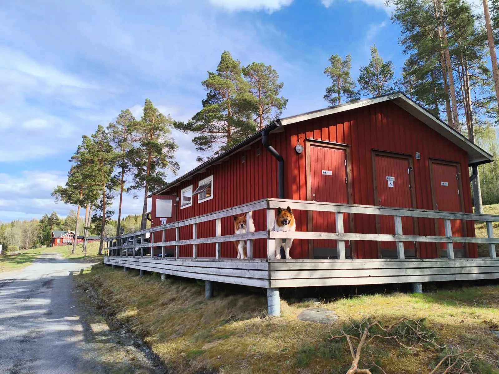 Sälstens camping