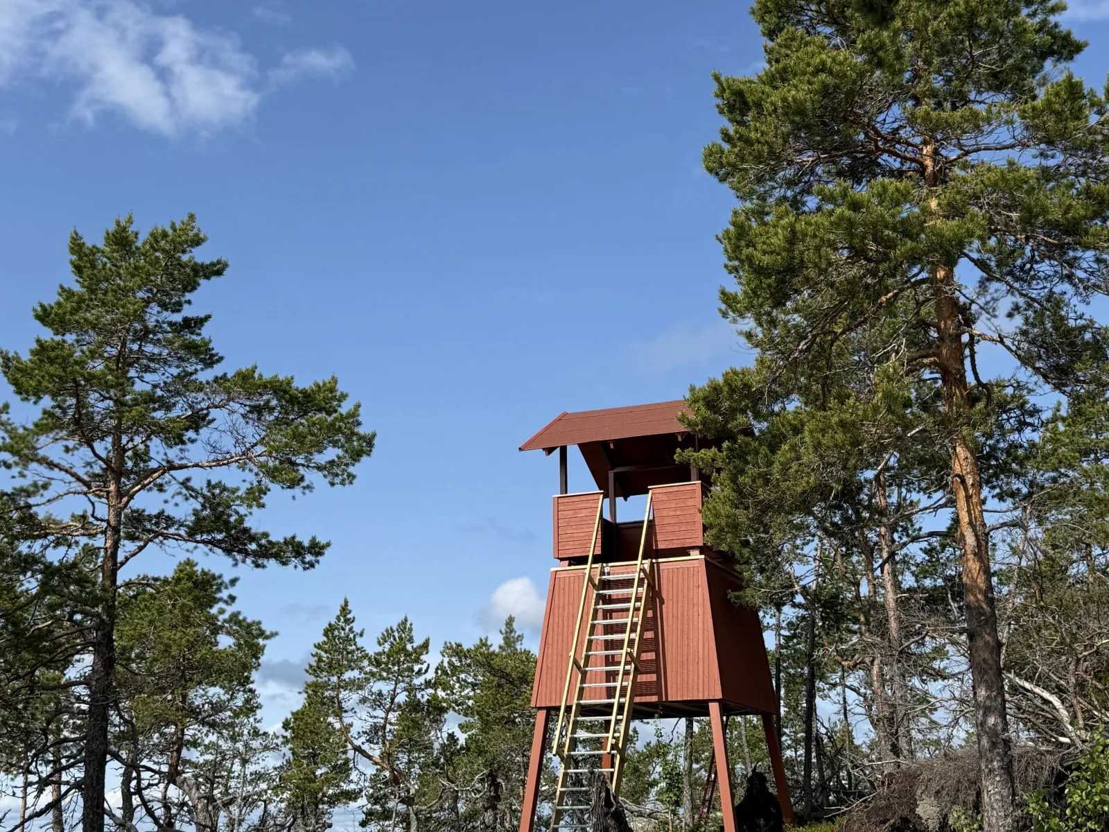 Vålshuvudets utsiktstorn