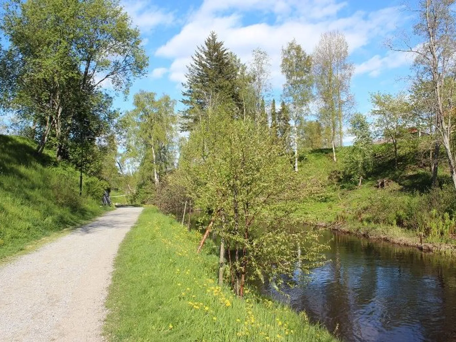 Hälsans stig med ån 26 maj 2012