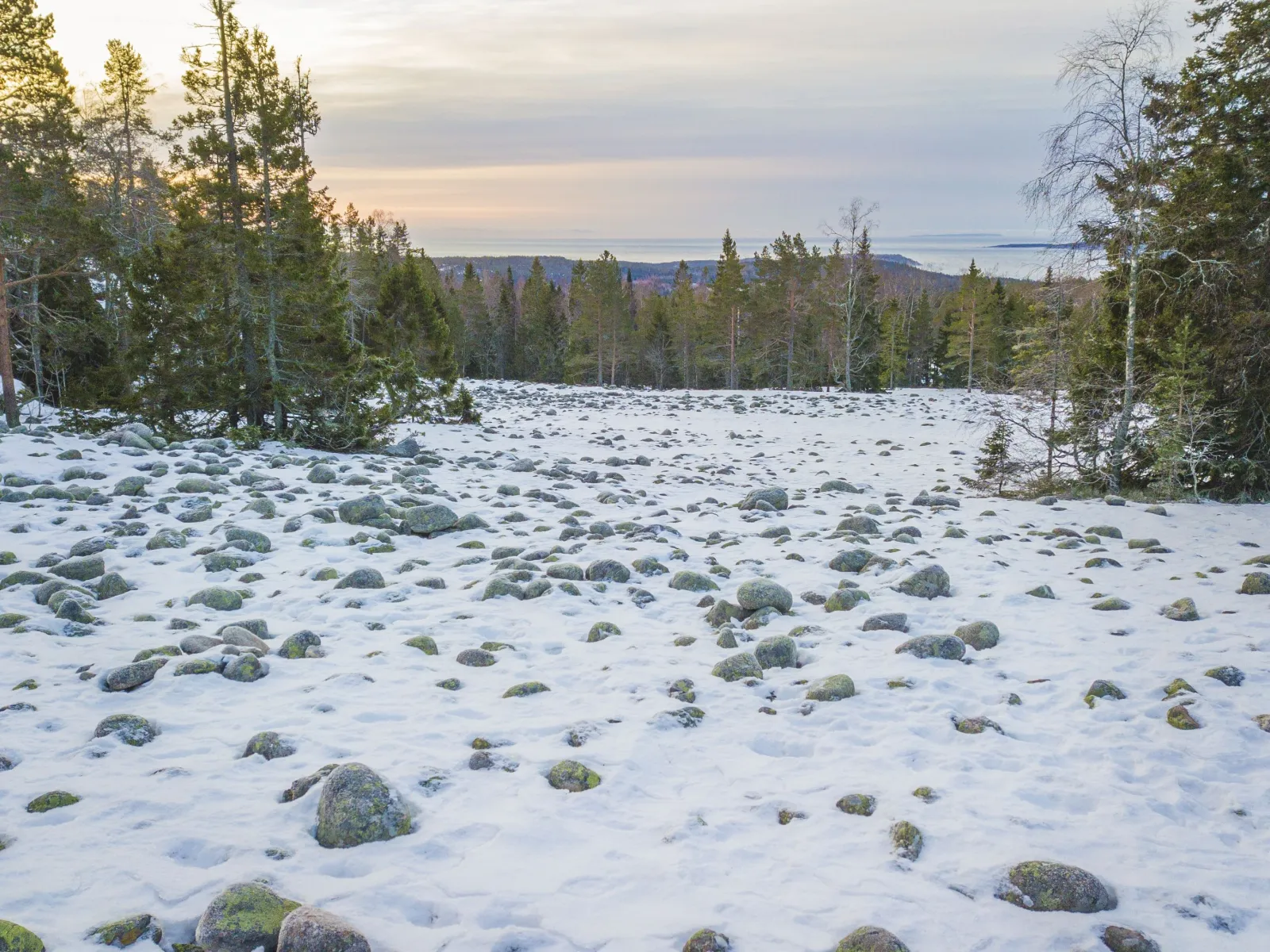Vårdkasmalens naturreservat