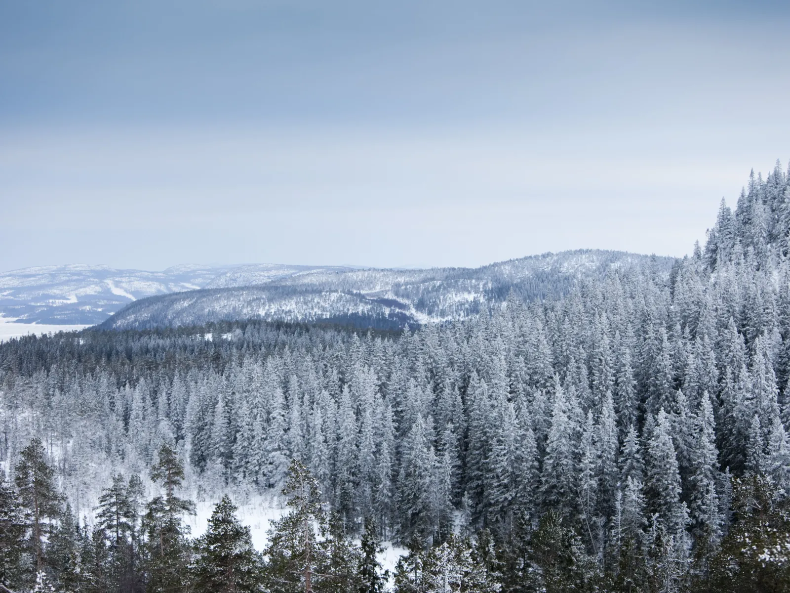 Tre dagars paket "Älven & Kusten & Bergen"