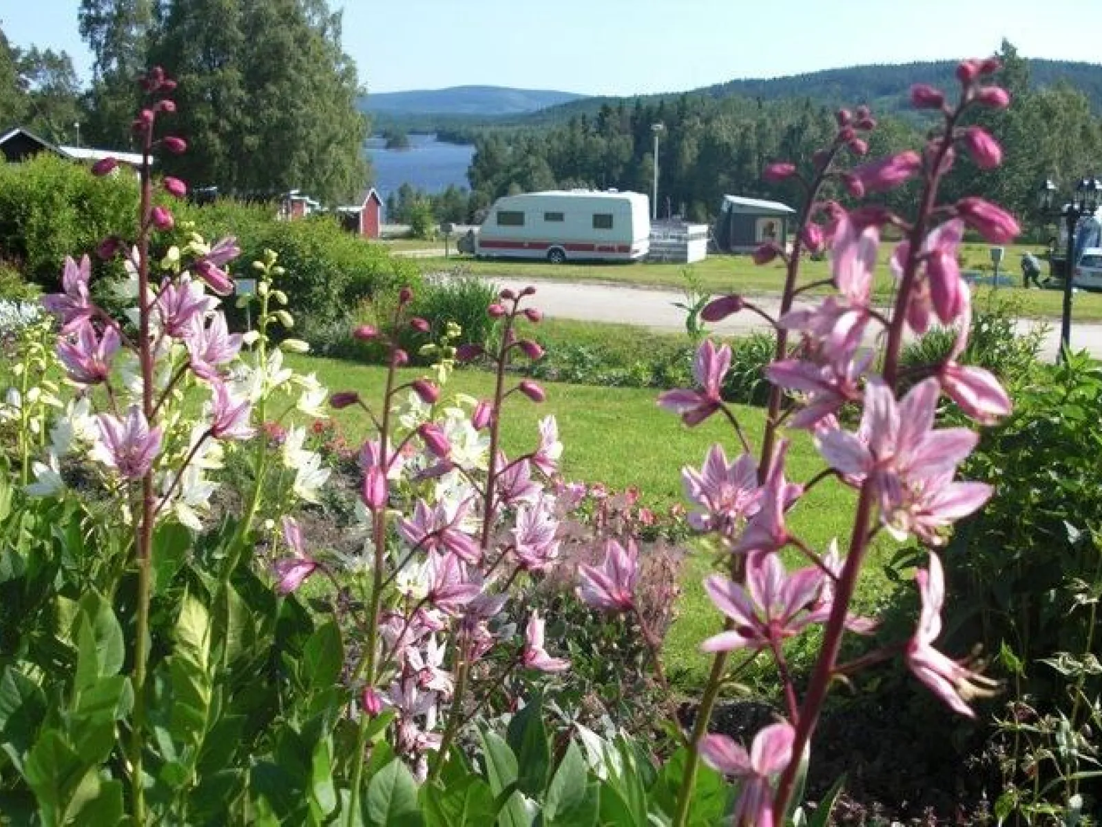 Storsjö Camping & Trädgård