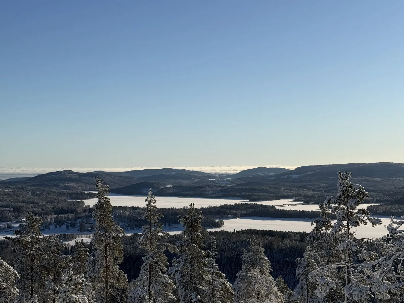 Surströmming tasting, local tradition & scenic views