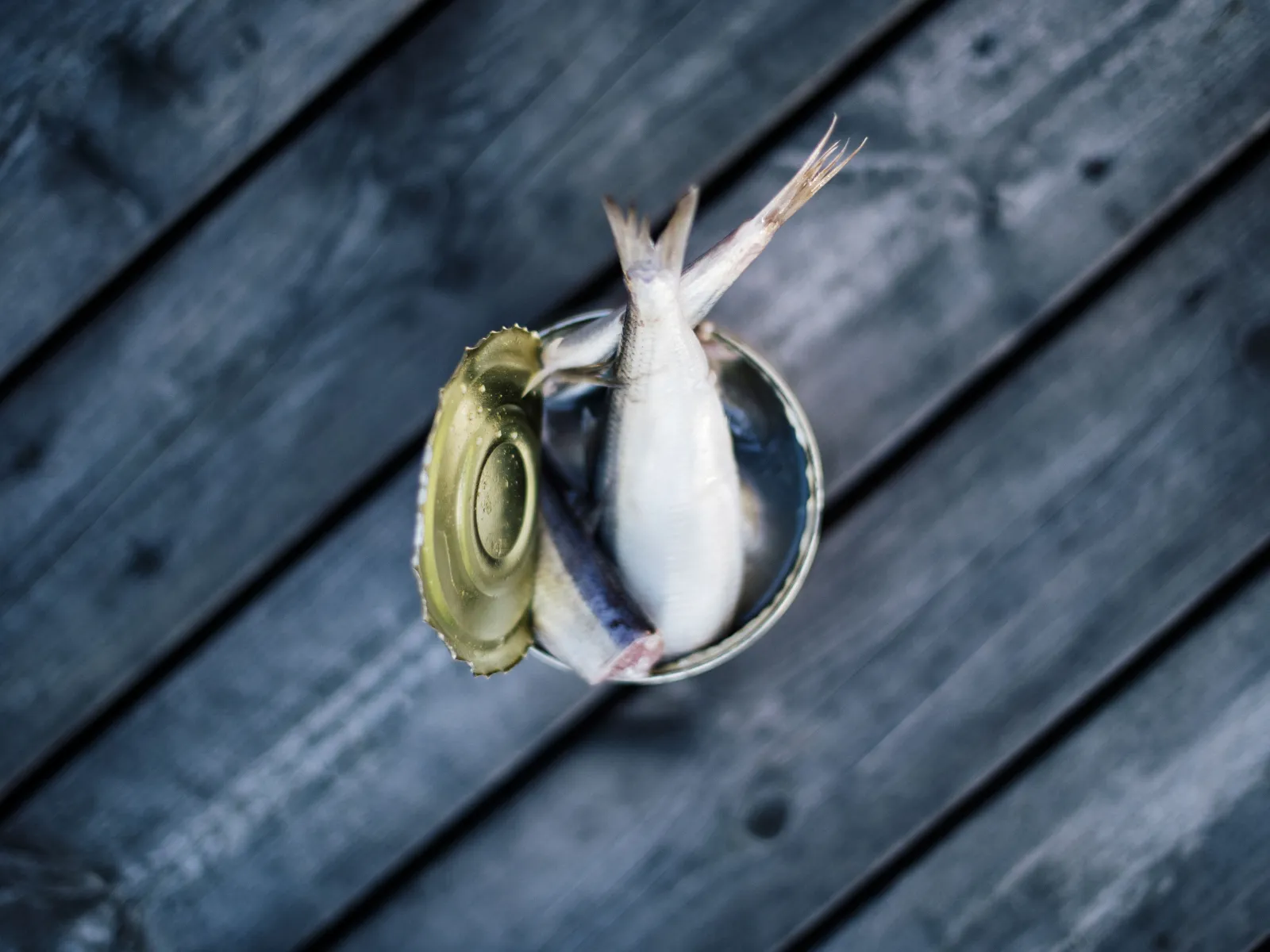 Surströmming tasting, local tradition & scenic views