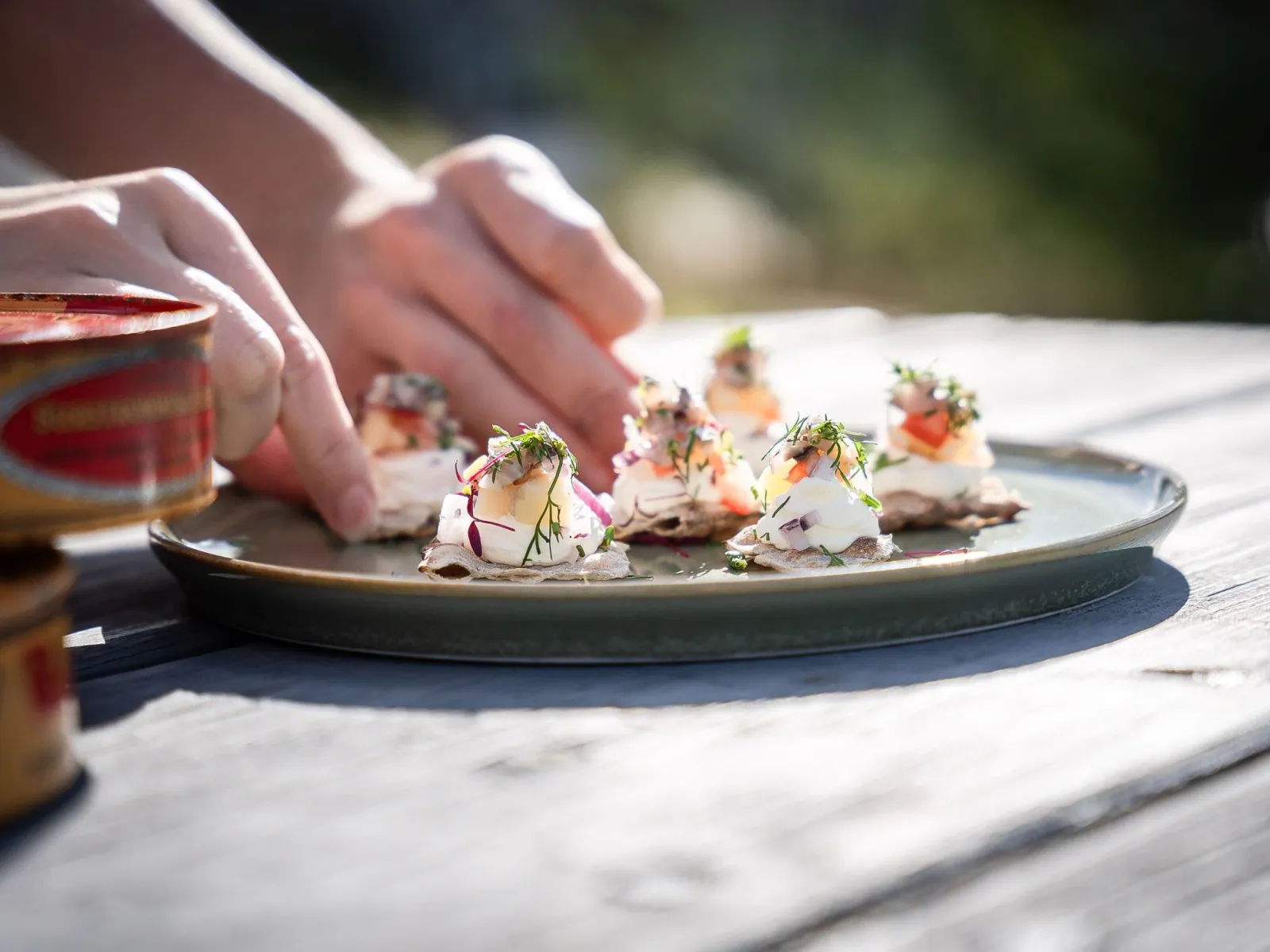 Surströmming tasting, local tradition & scenic views