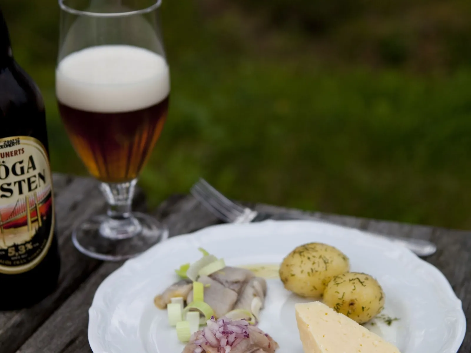 High Coast Bridge: history & local flavors