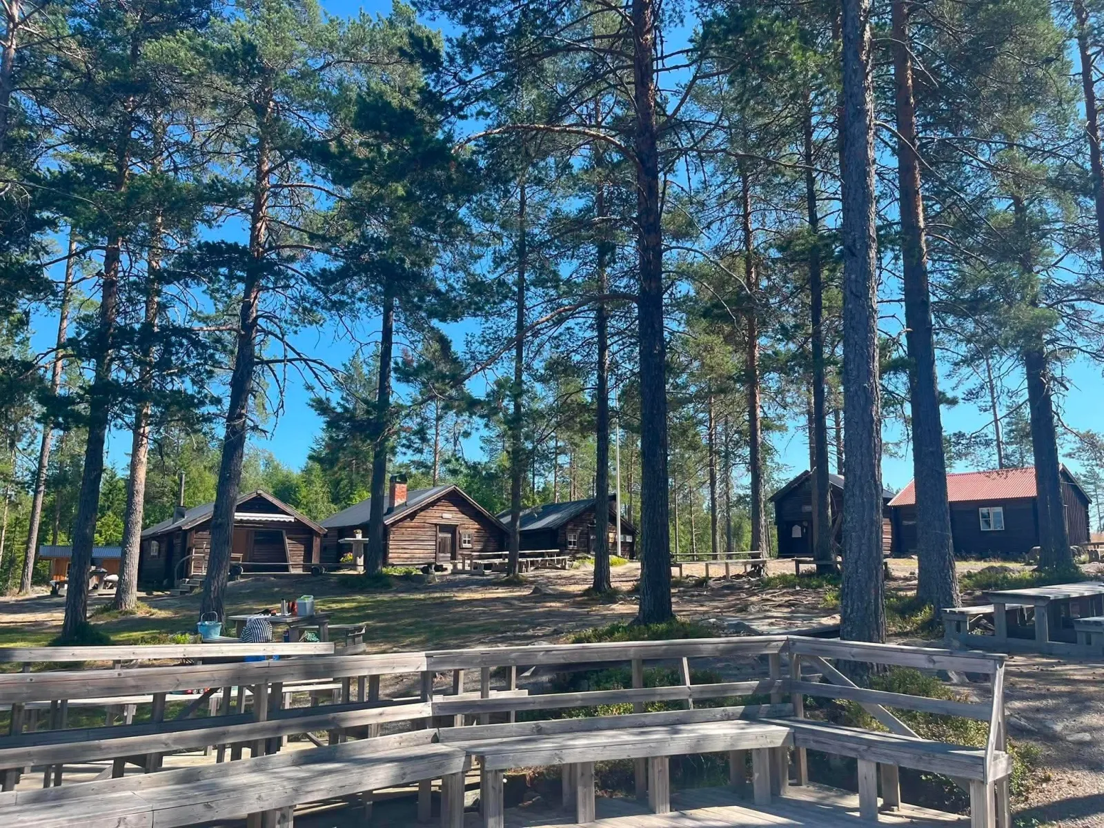 Mäjasjöns Sommerweiden 