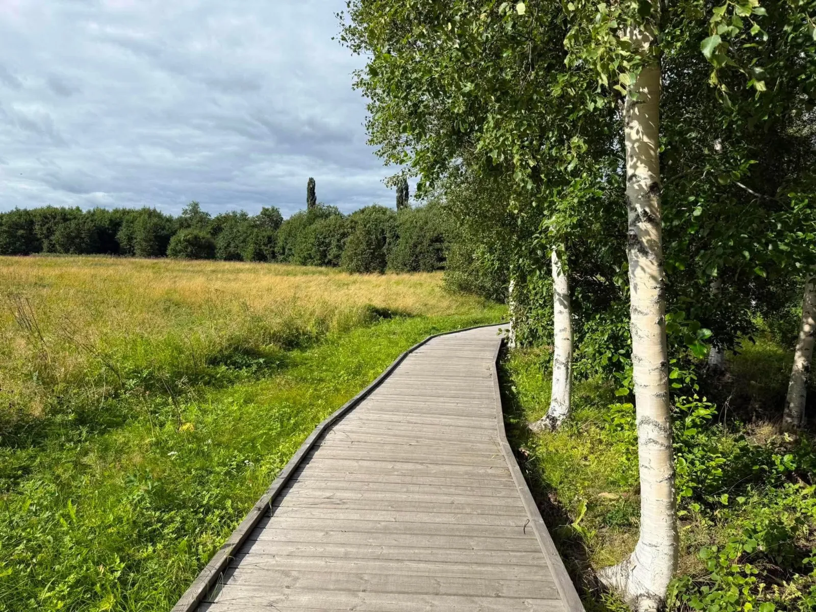 Kyrkviken nature trail