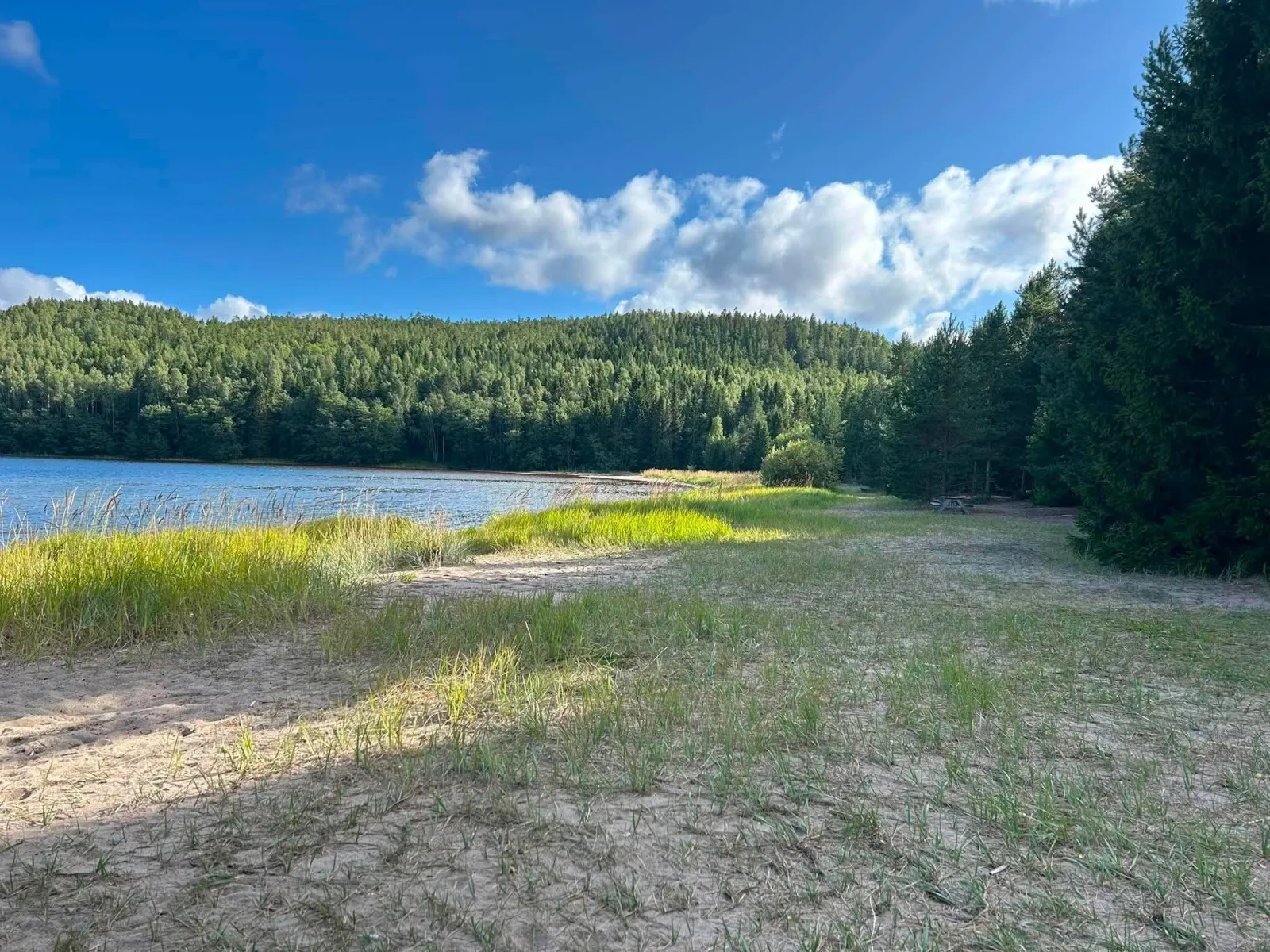 Kälsviken