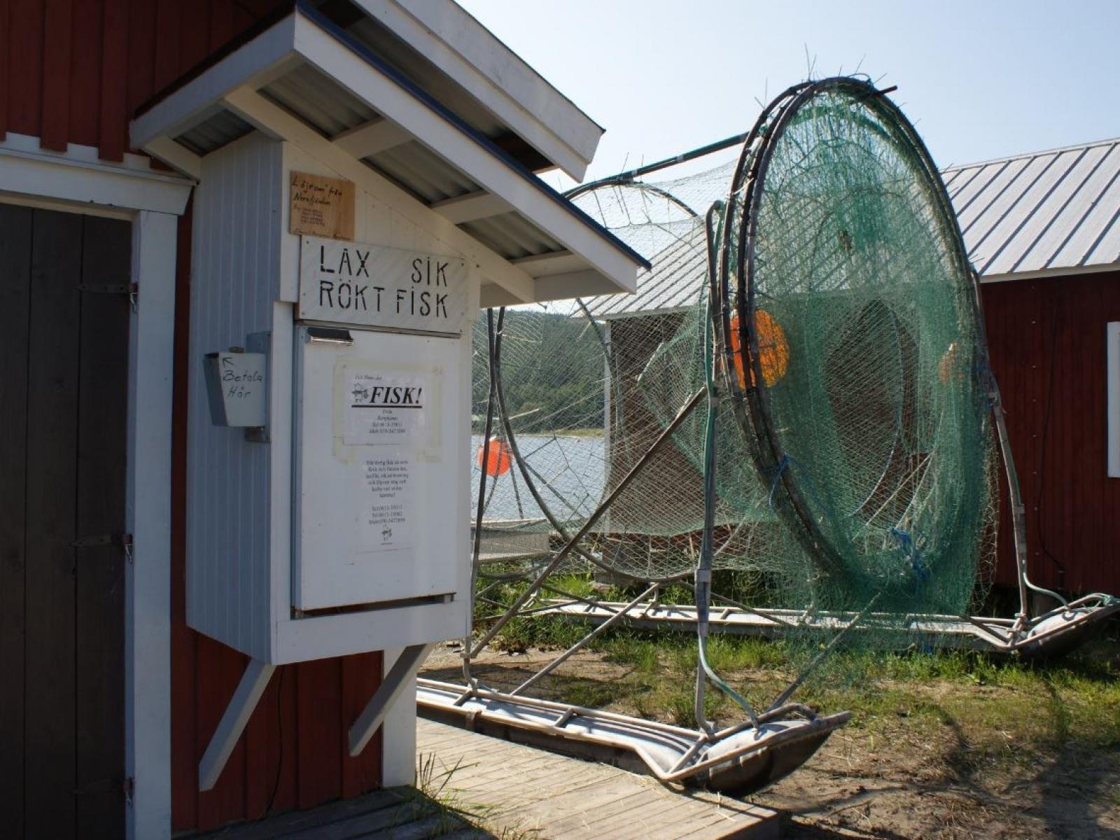 Berghamn fiskförsäljning