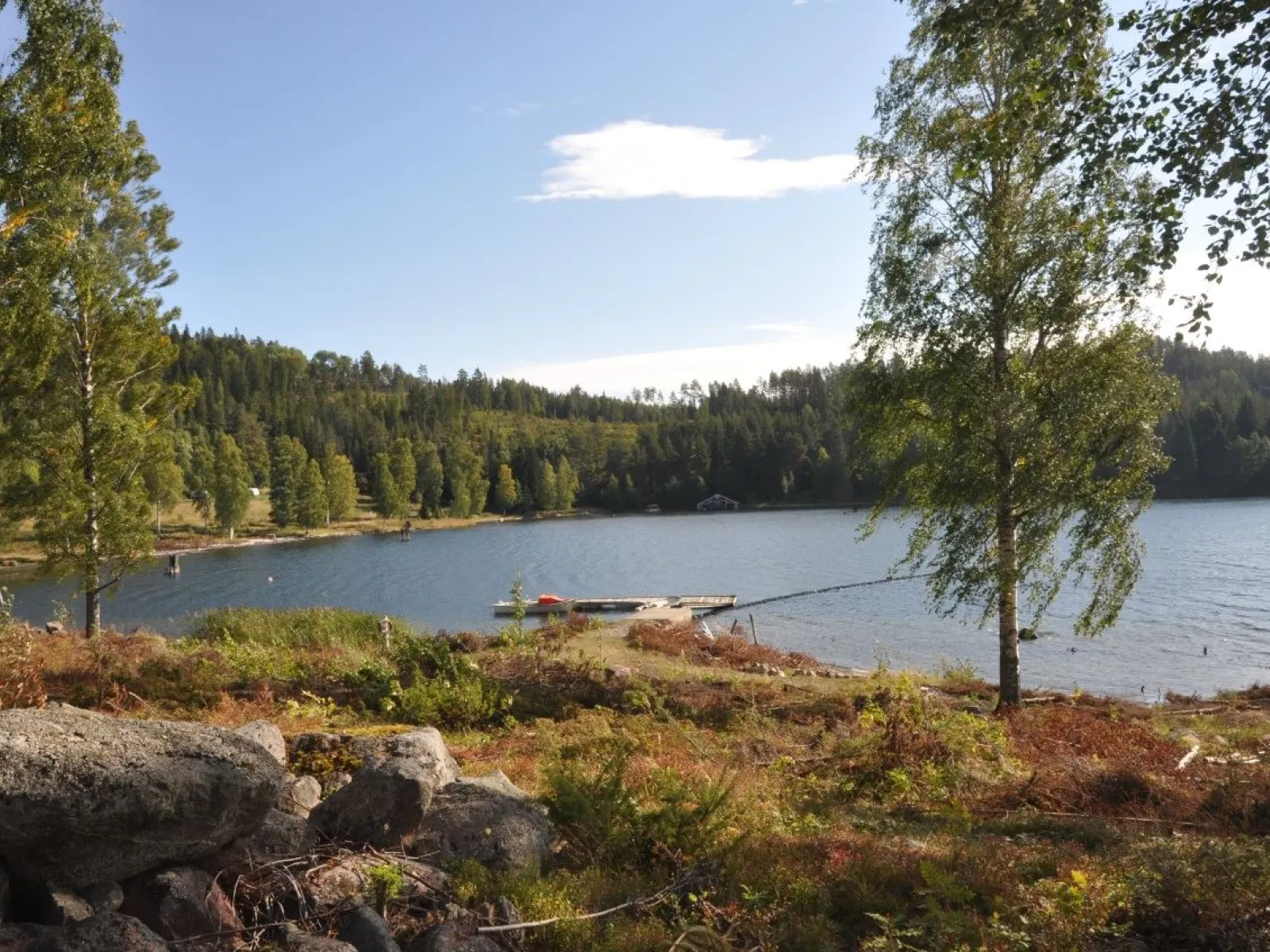 Måviken