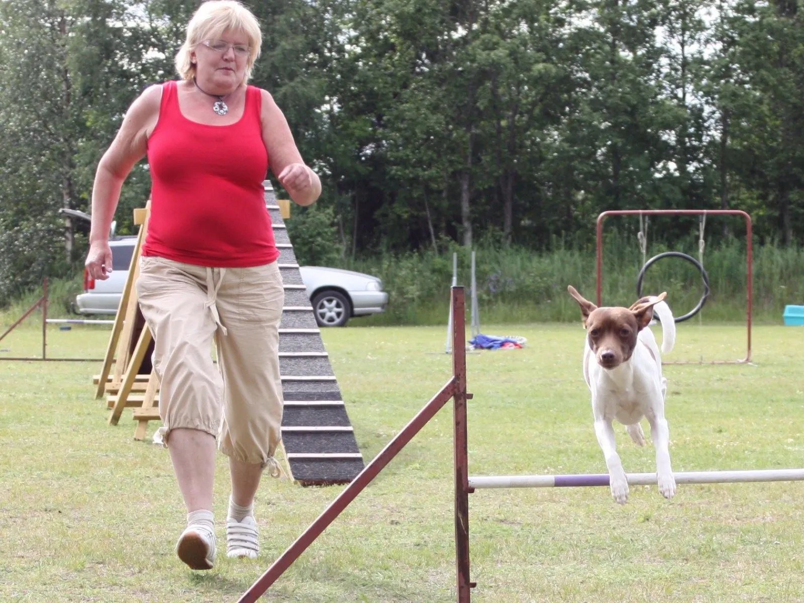 Agility träning vid HUNDraelvan . Hundkurser året runt se hemsidan för info
