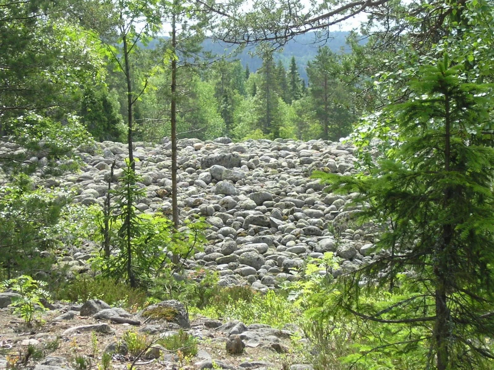 Vårdkasmalens naturreservat