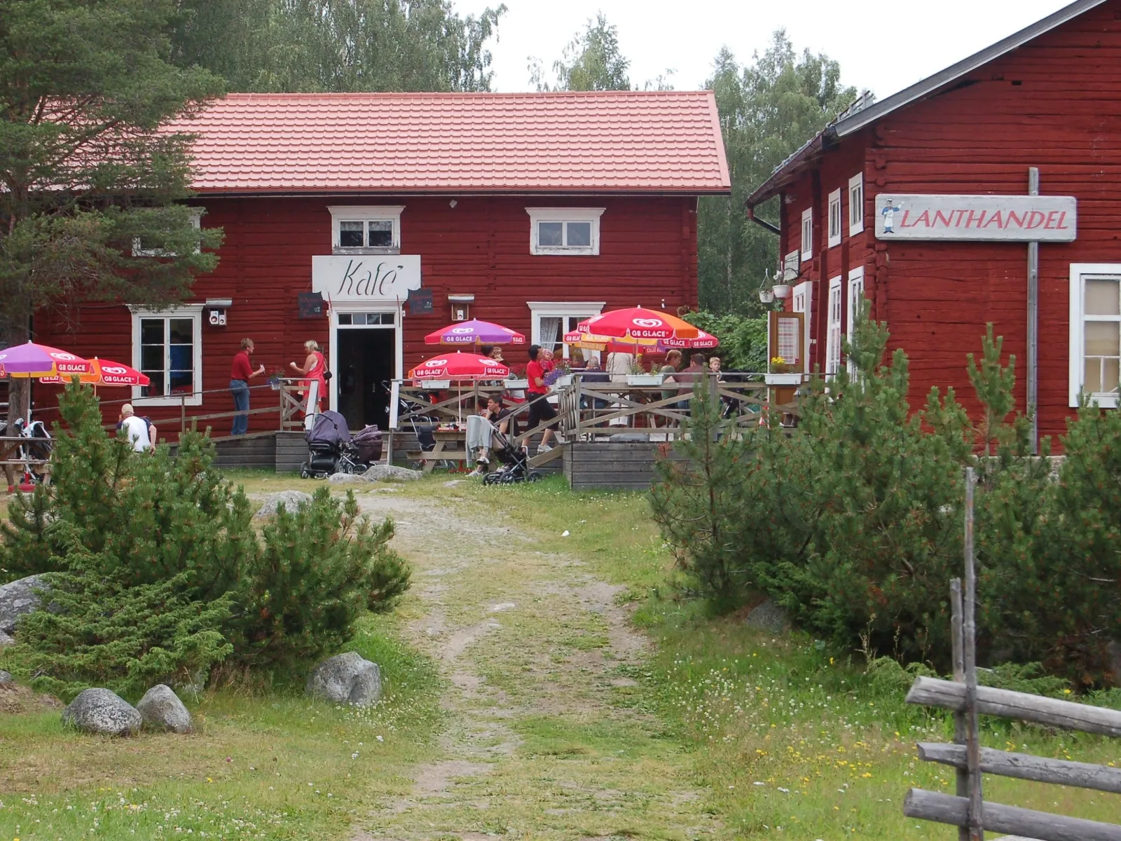 Bondgårdscaféet och Daniels Boa i Junsele Djurpark