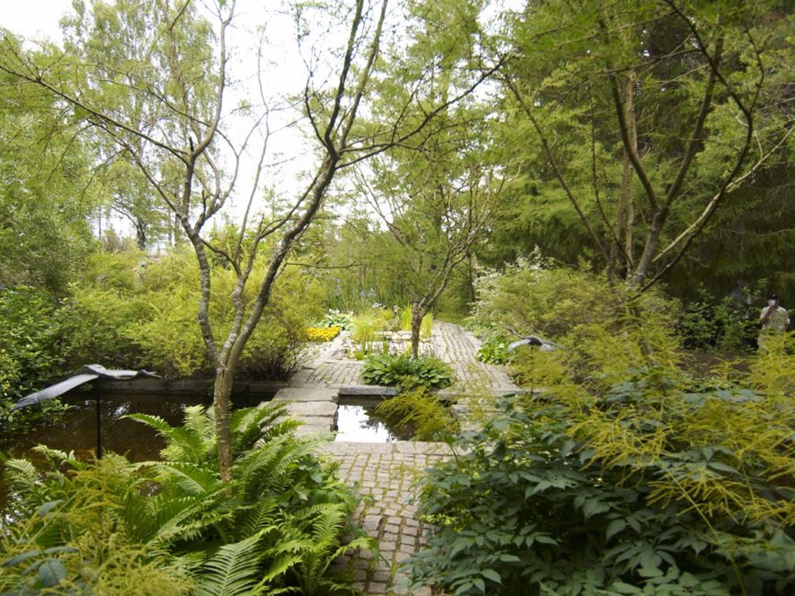 Länets vackraste trädgårdar ligger i Hyndtjärn, Salsåker, Nordingrå. I besöksträdgården samverkar byggnadernas arkitektur med landskapsarkitekturen. 