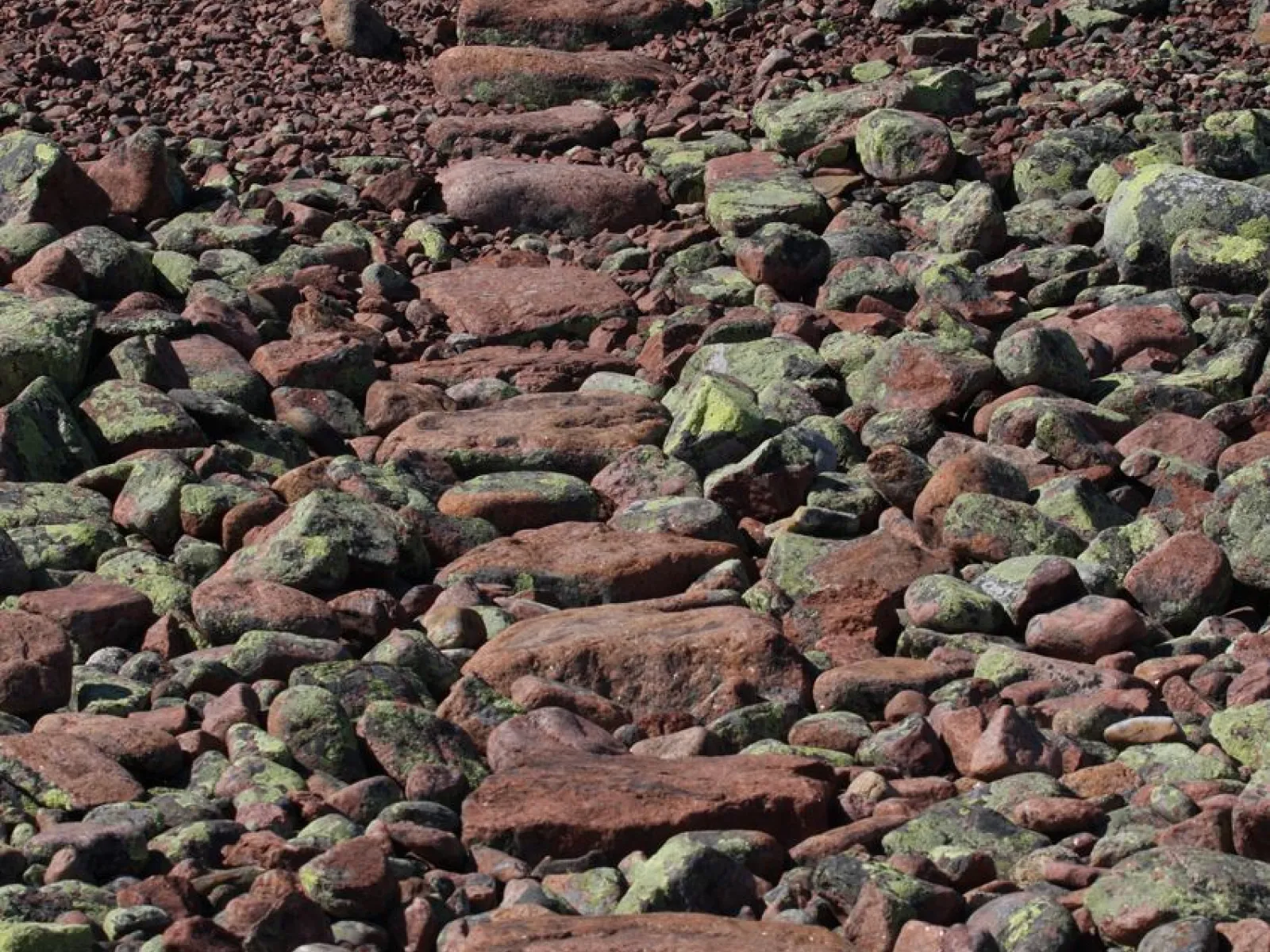 Naturschutzgebiet Norrfällsviken