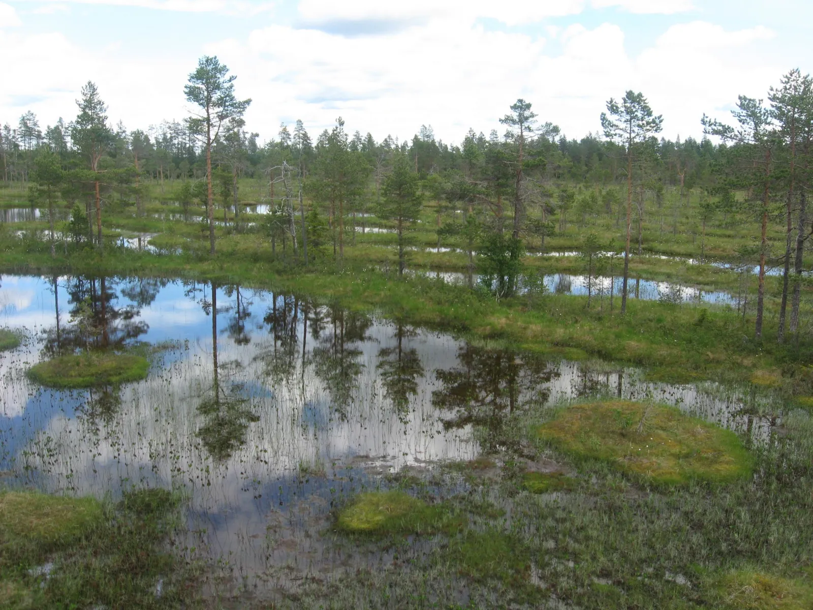 Gideåbergsmyrarnas naturreservat