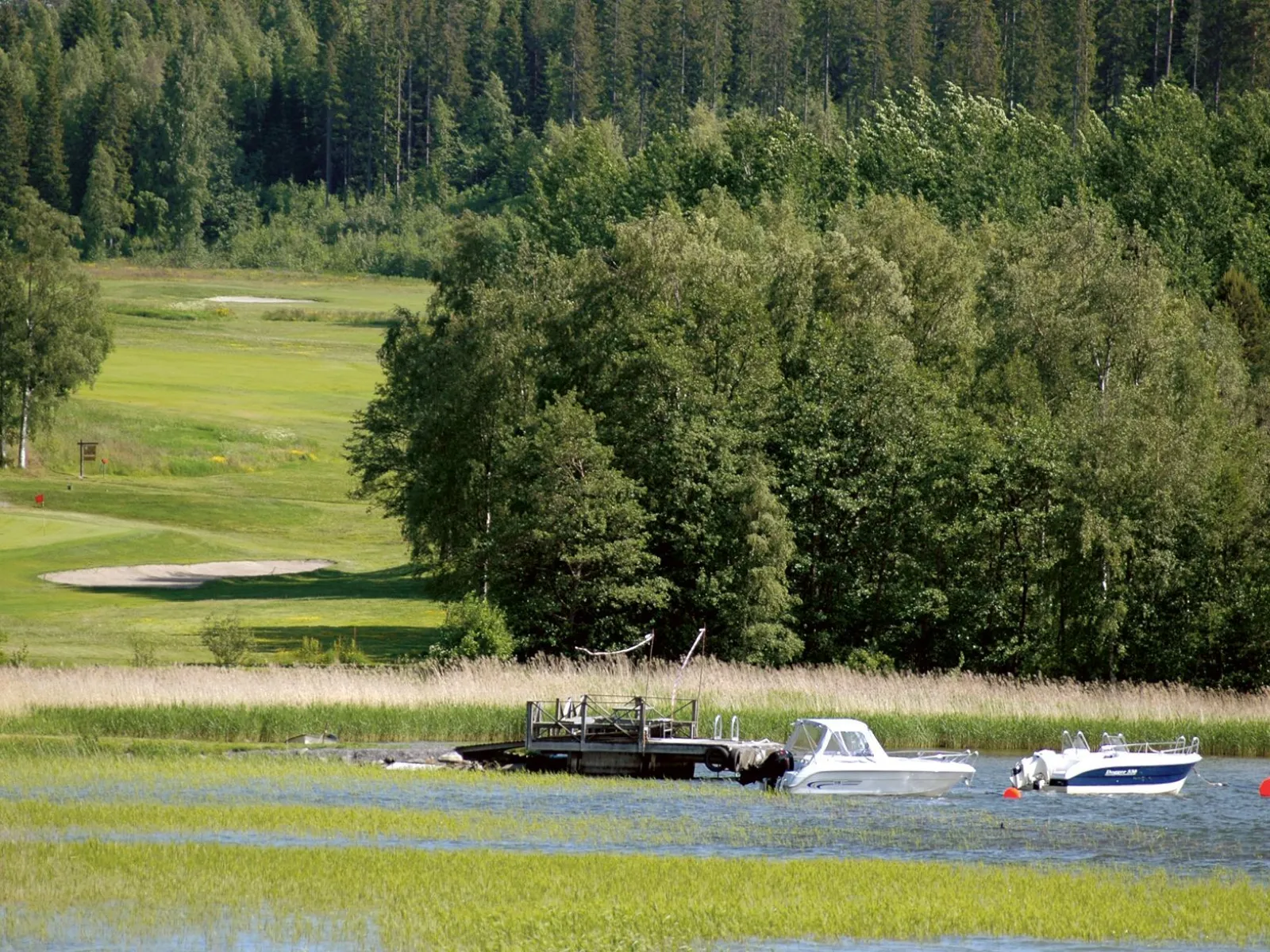 Lustholmens marina