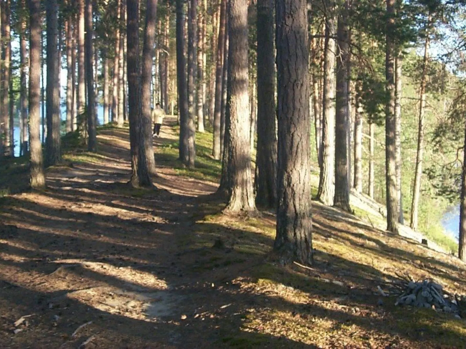 Vandring Stenbergsleden
