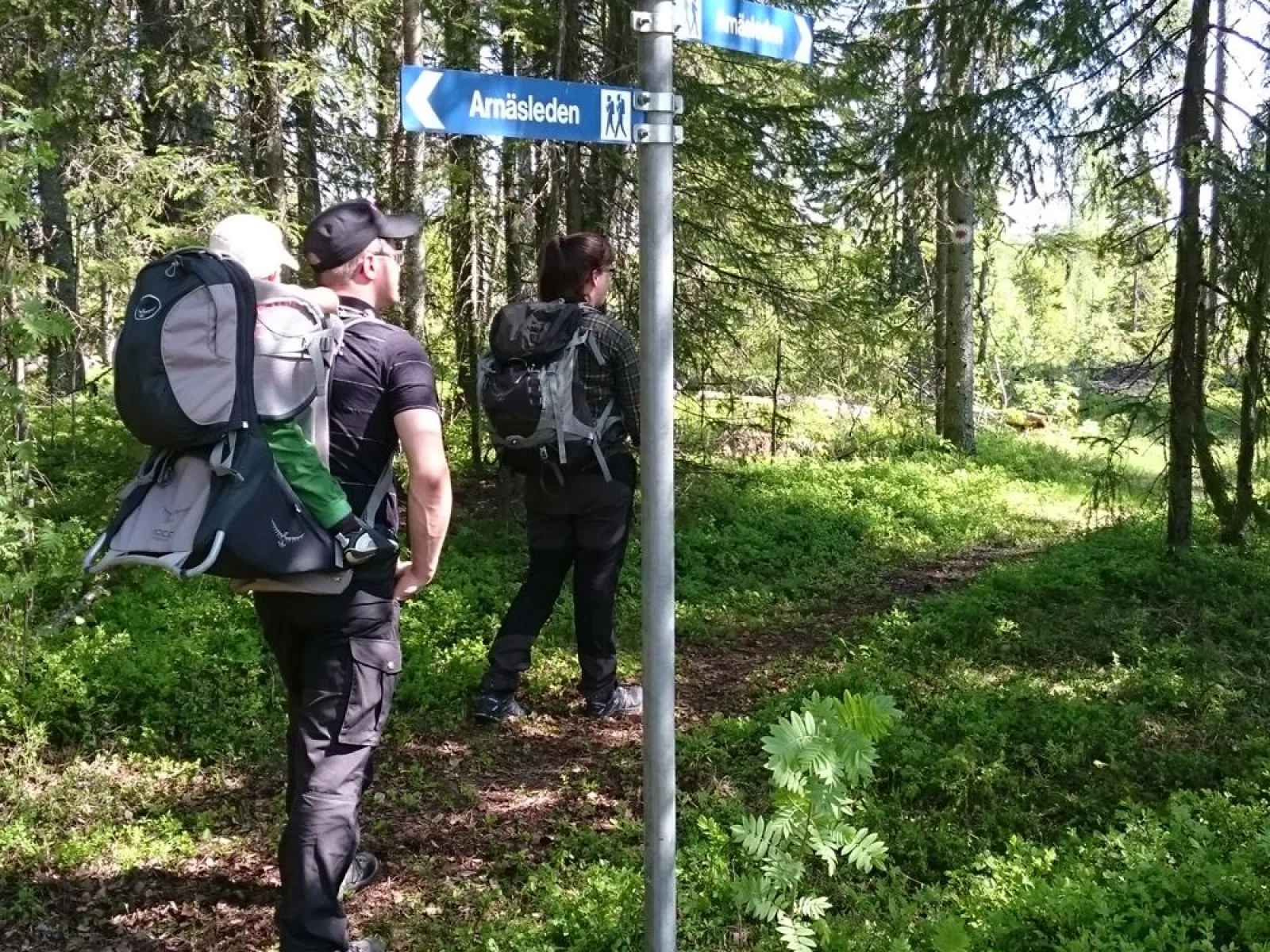 Arnäsleden