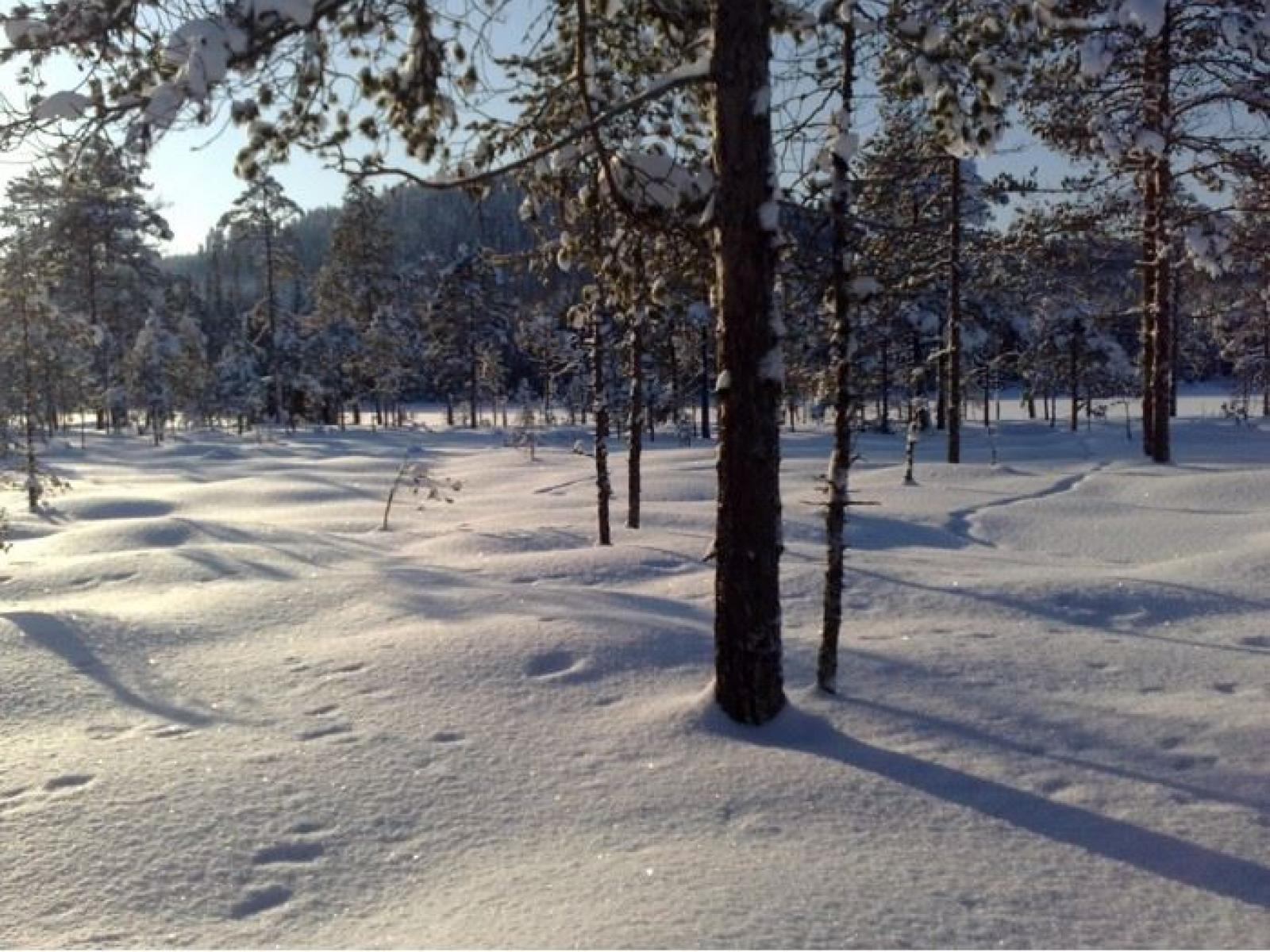 Det finns gott om vinteraktiviteter runtom Christingagården.