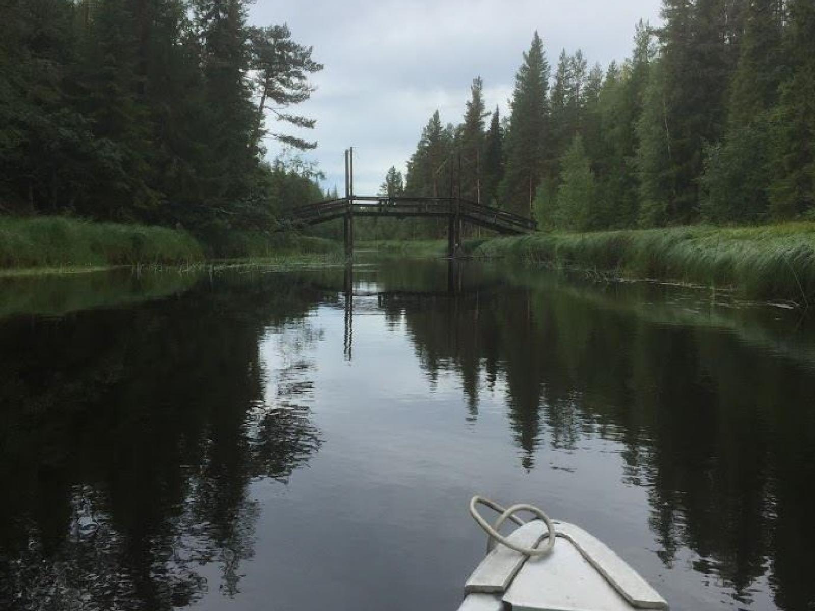 Paddla kanot i Röån, Junsele