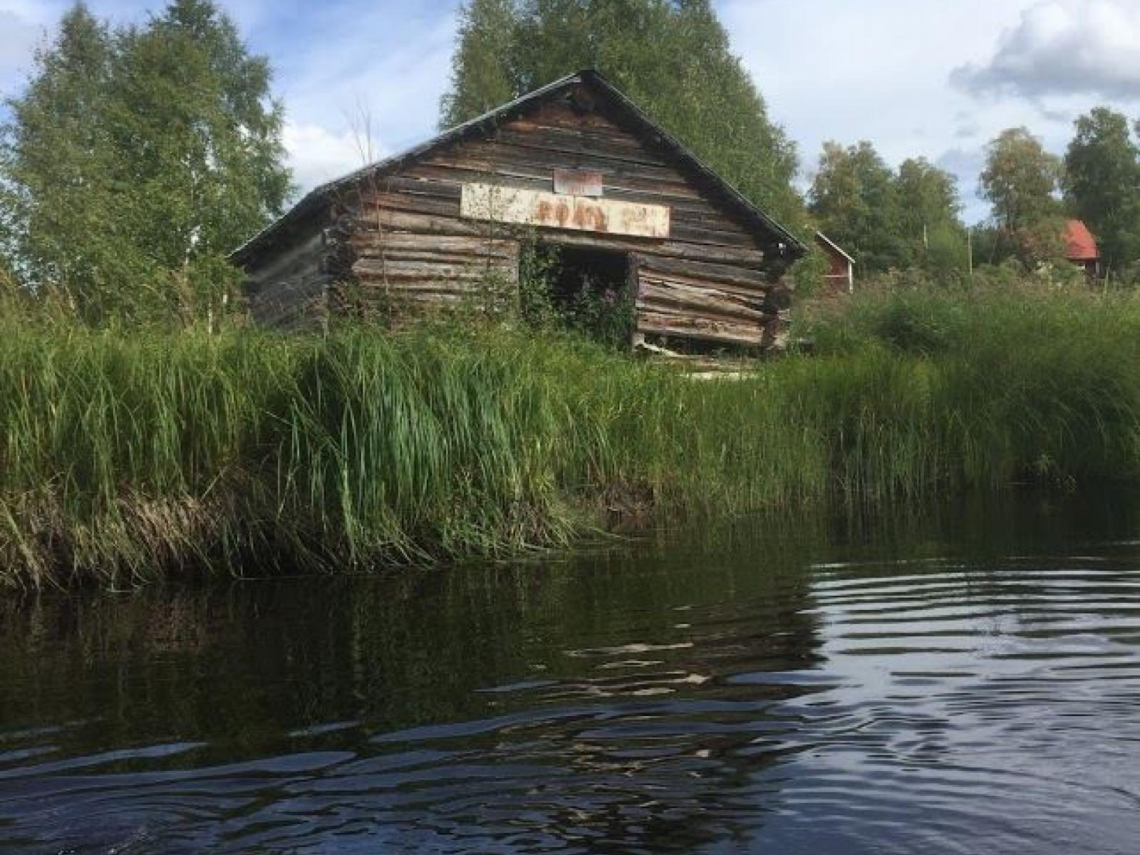 Paddla kanot i Röån, Junsele