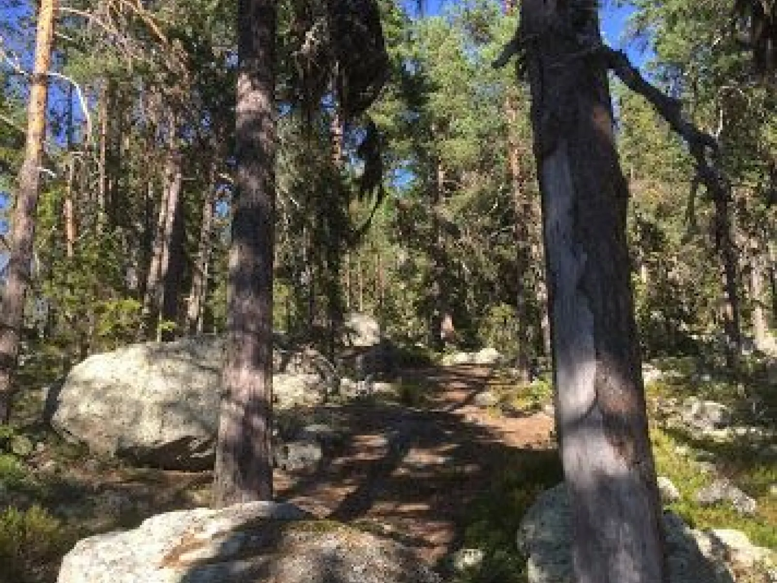 Multråberget