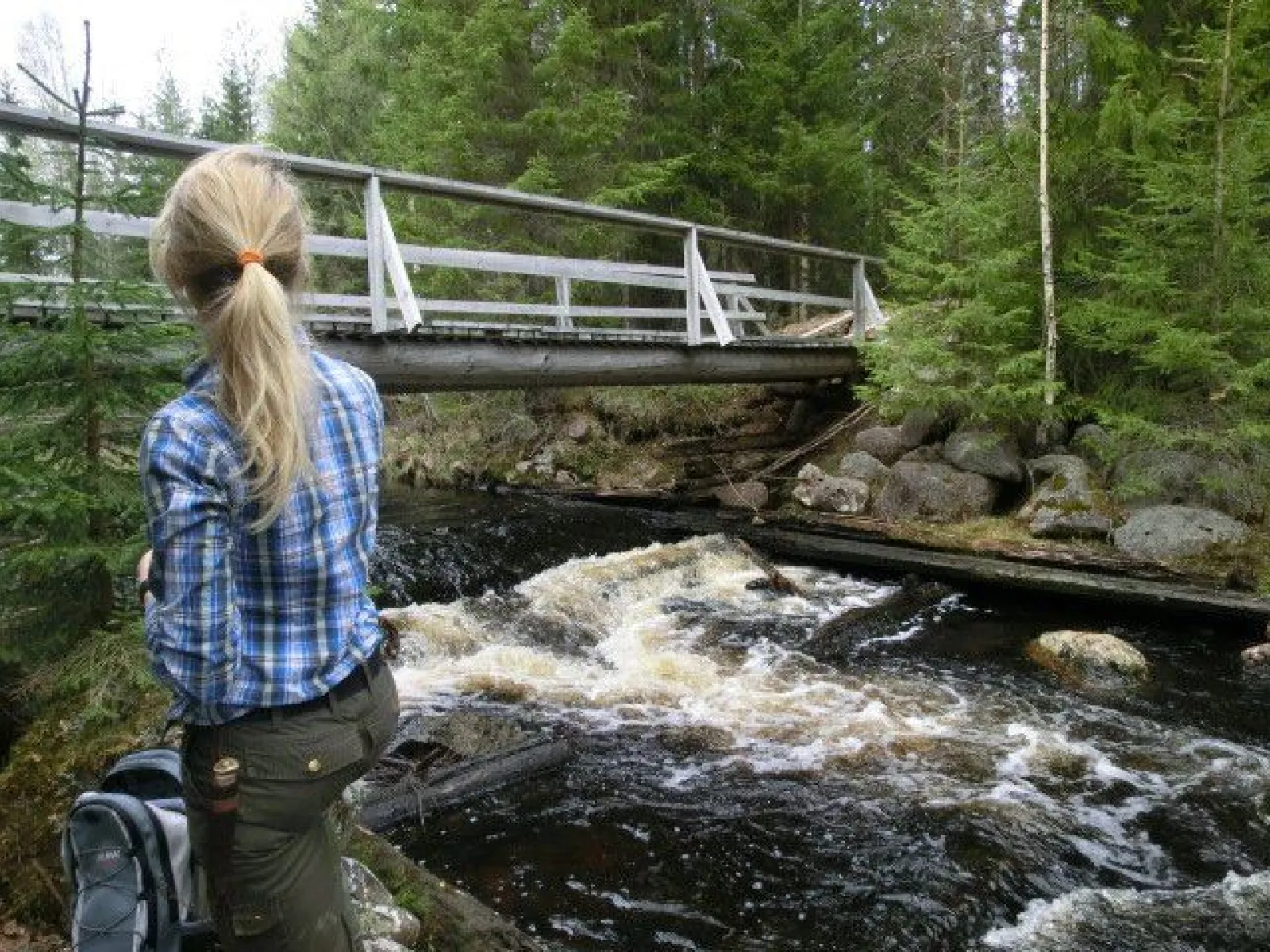 Finnåleden