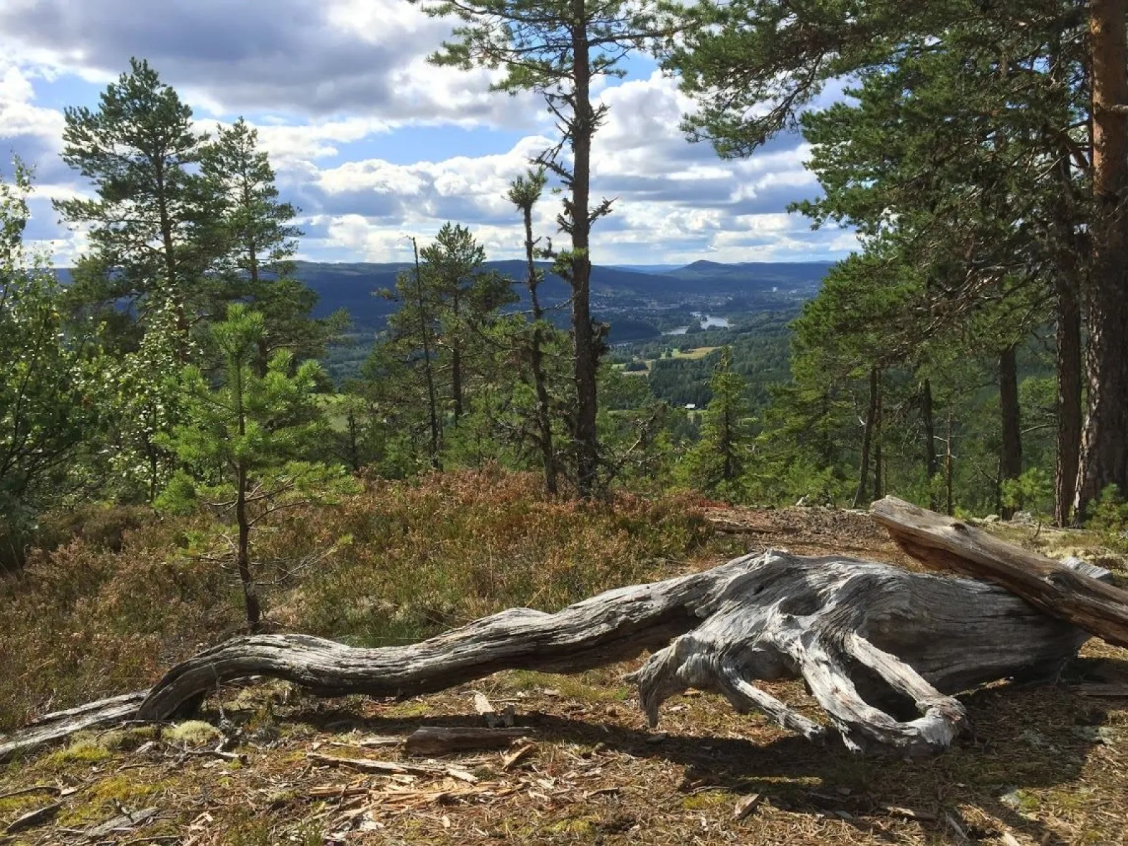 Multråberget