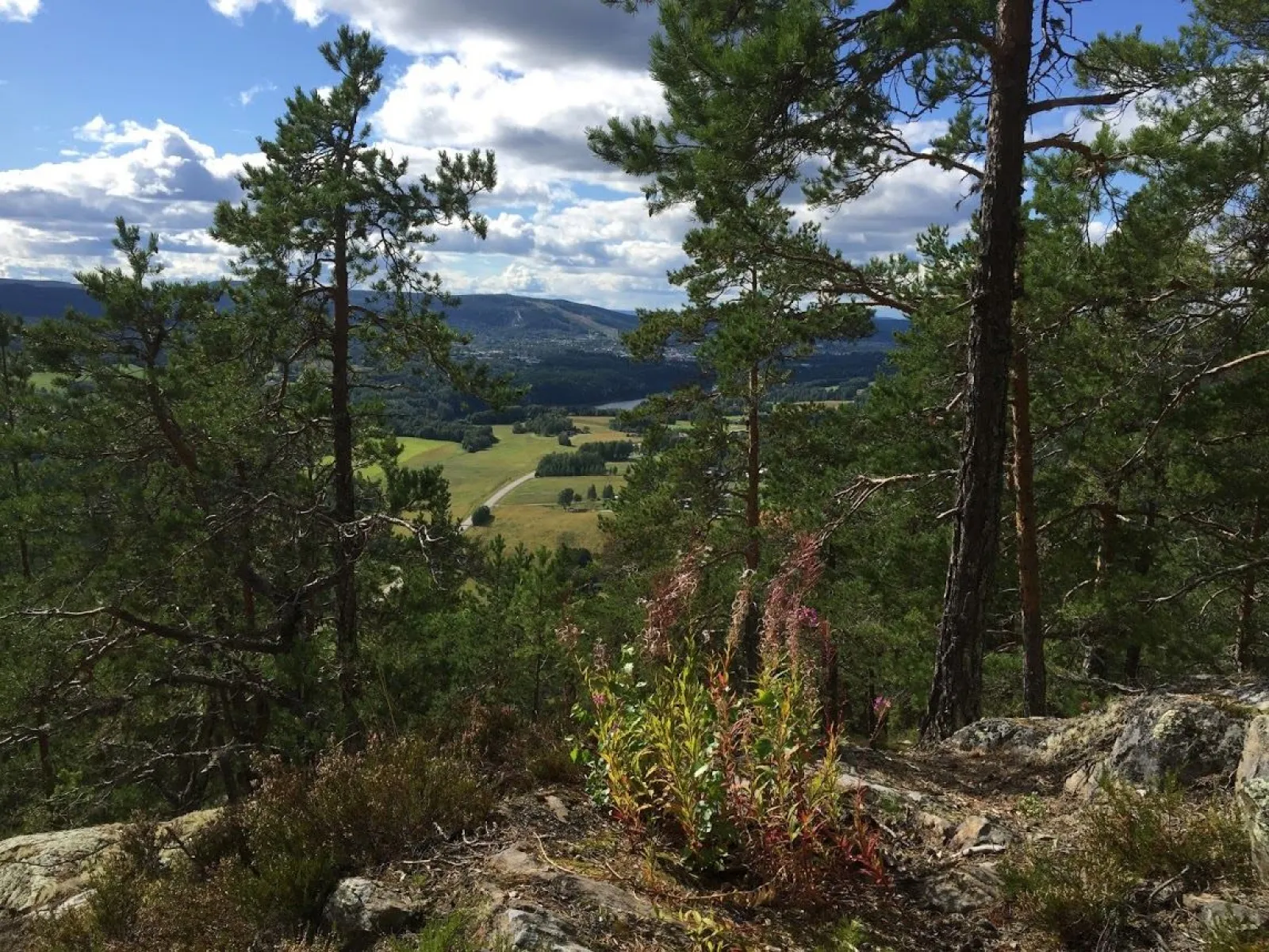 Multråberget