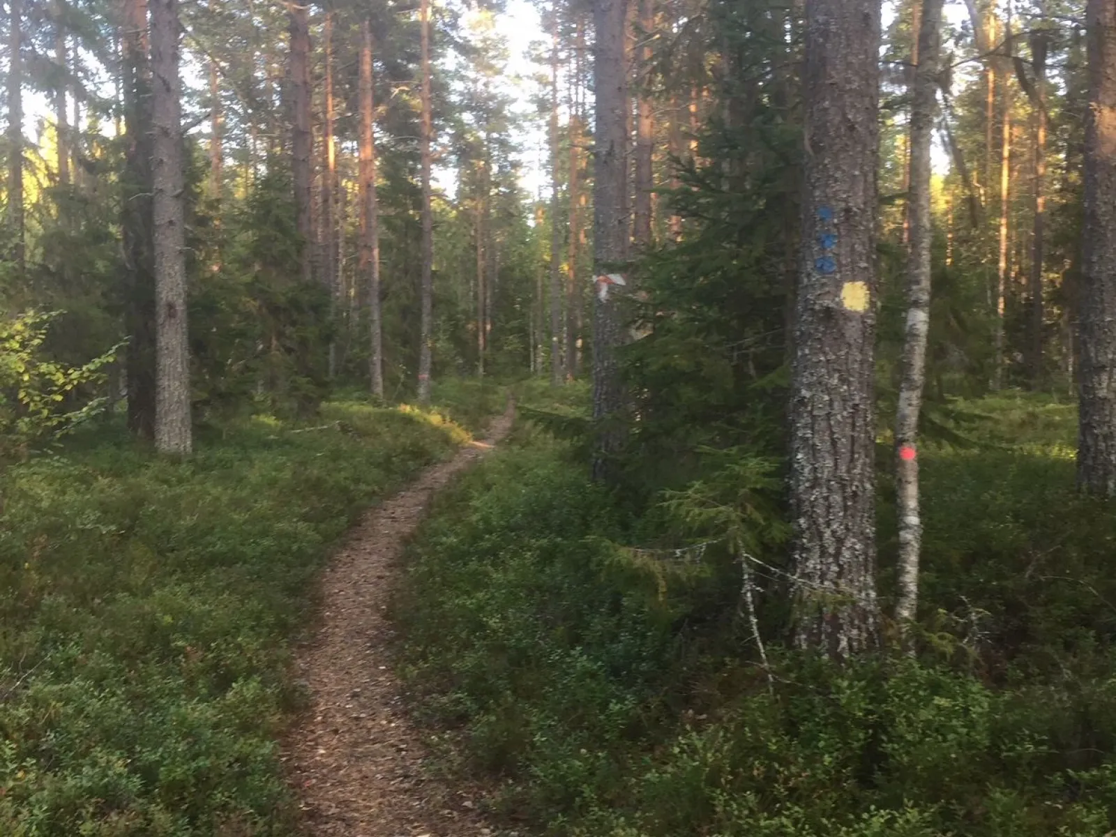 Ådalsleden 2 Boteå-Kyrkviken