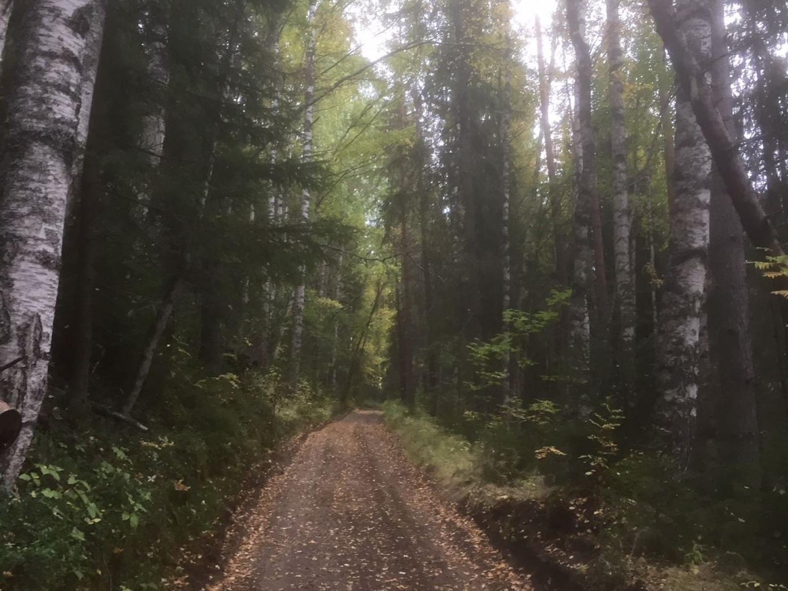 Ådal trail