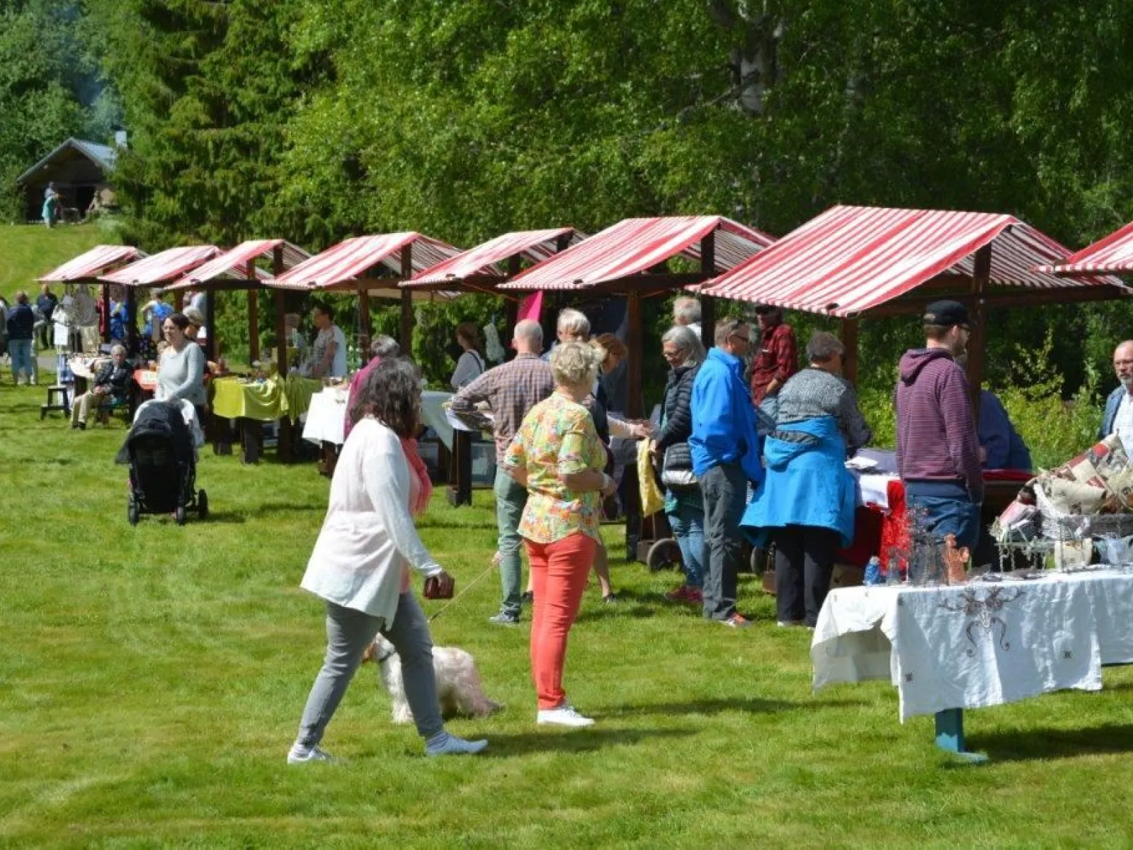 Västanåfallet natur- och kulturcenter