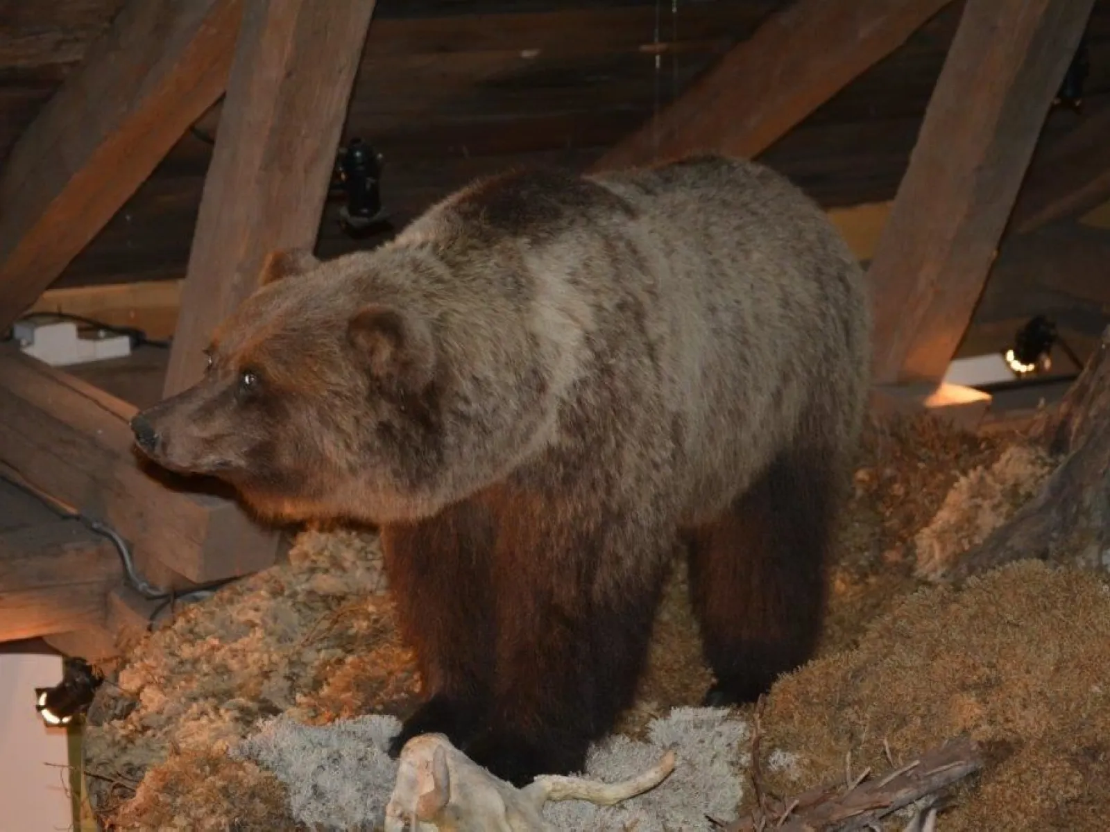 Västanåfallet natur- och kulturcenter