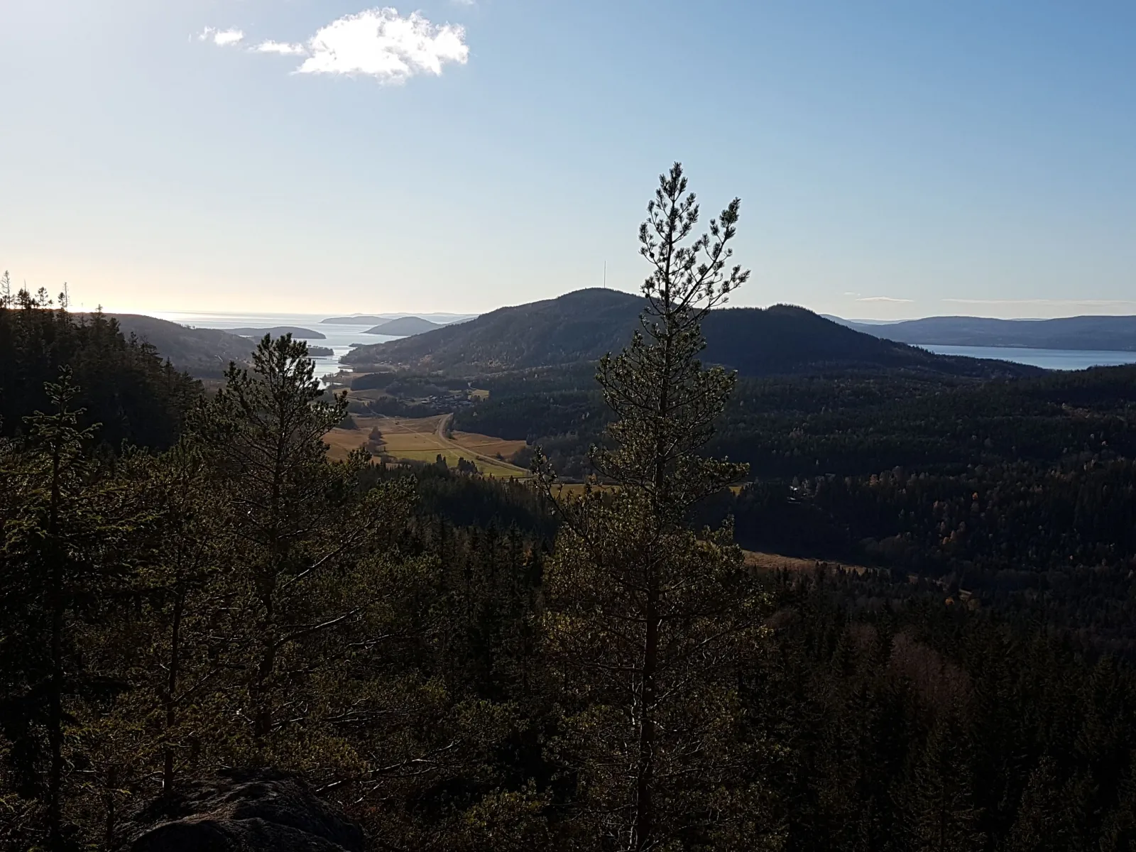 Själandsklinten